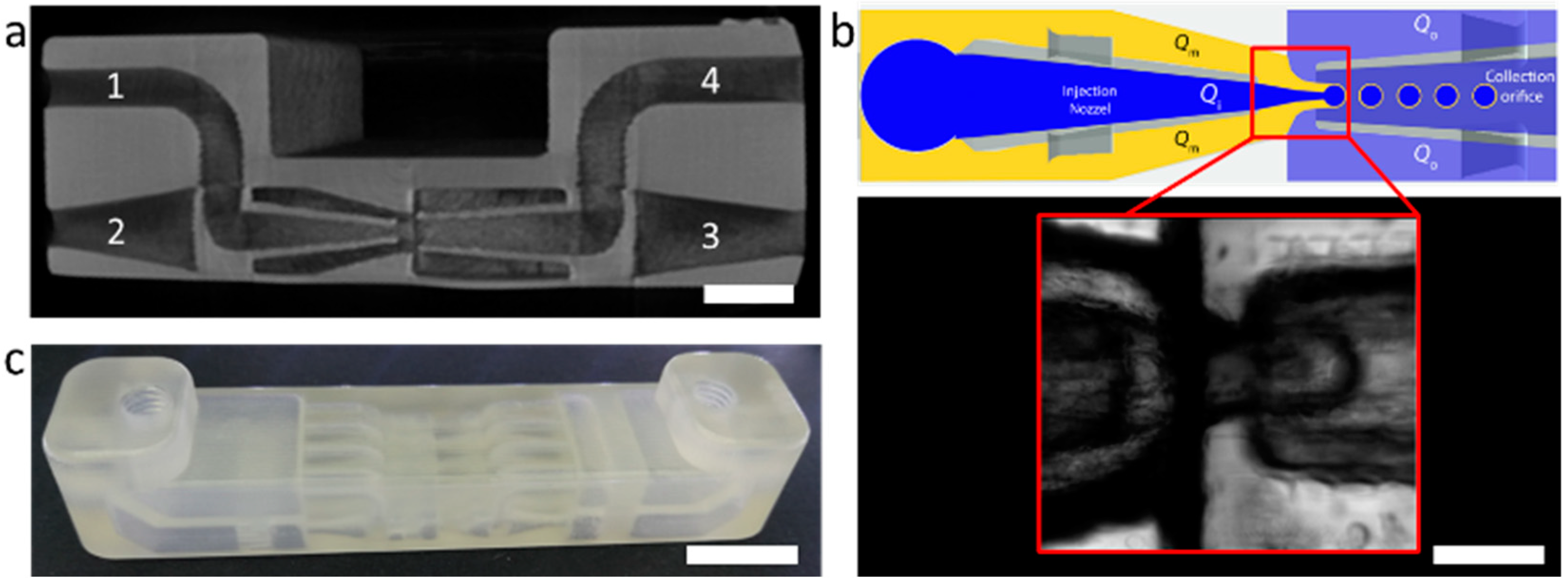 Polymers 11 01887 g002