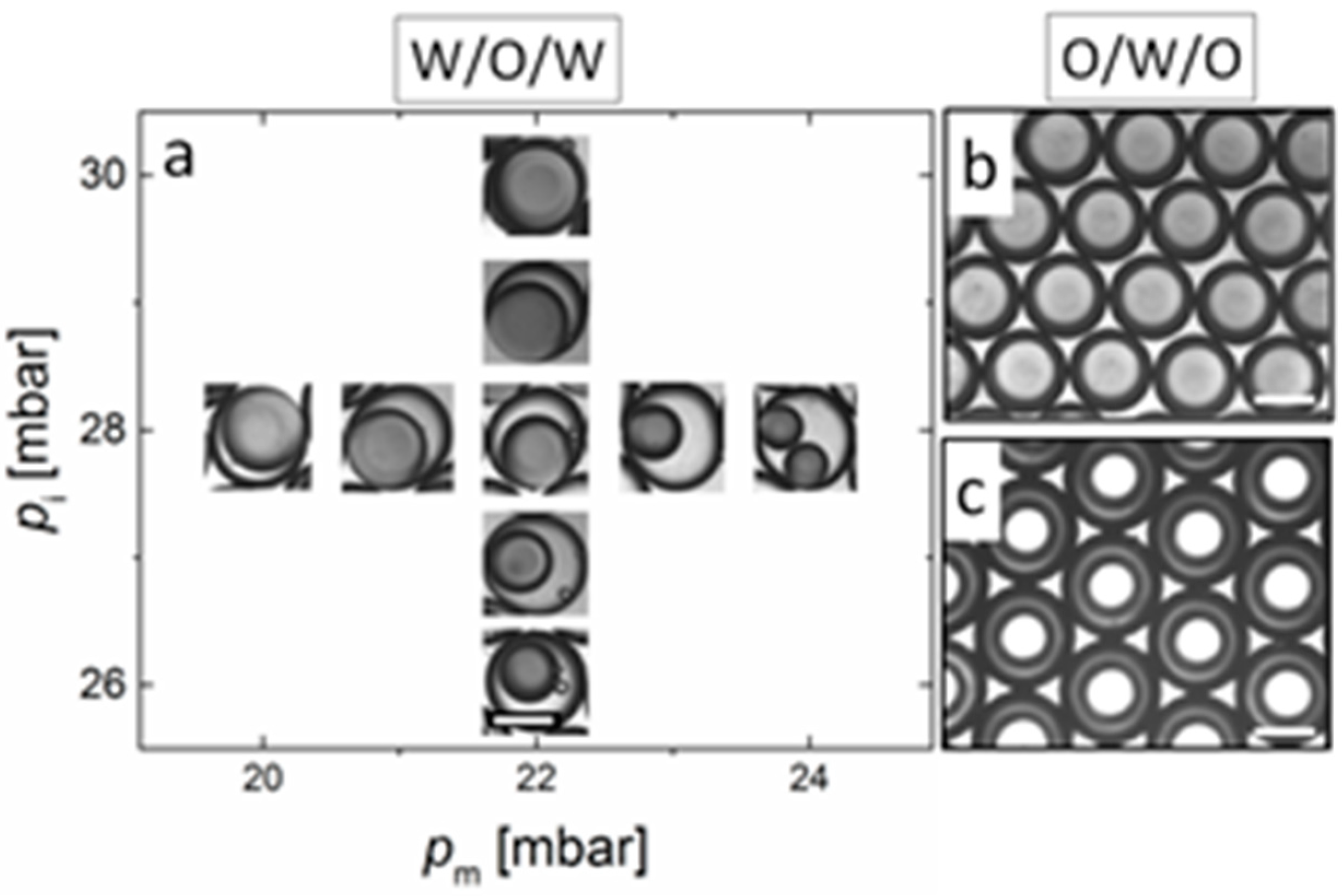 Polymers 11 01887 g003