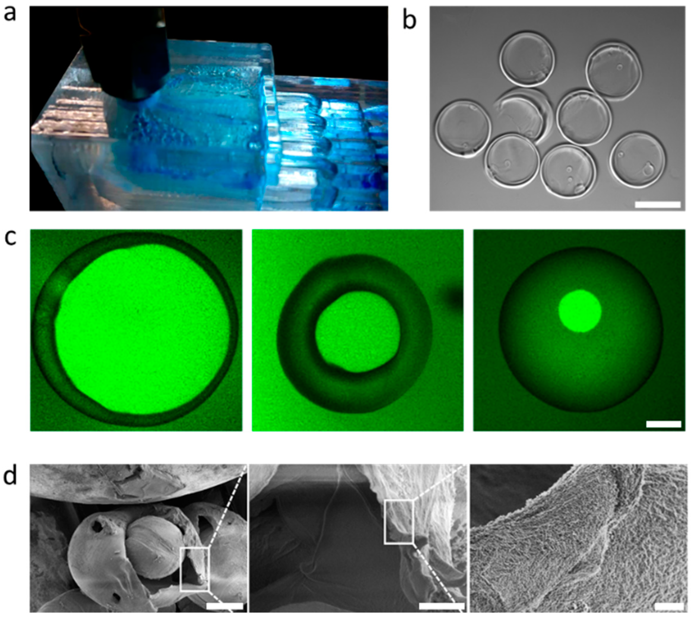 Polymers 11 01887 g004