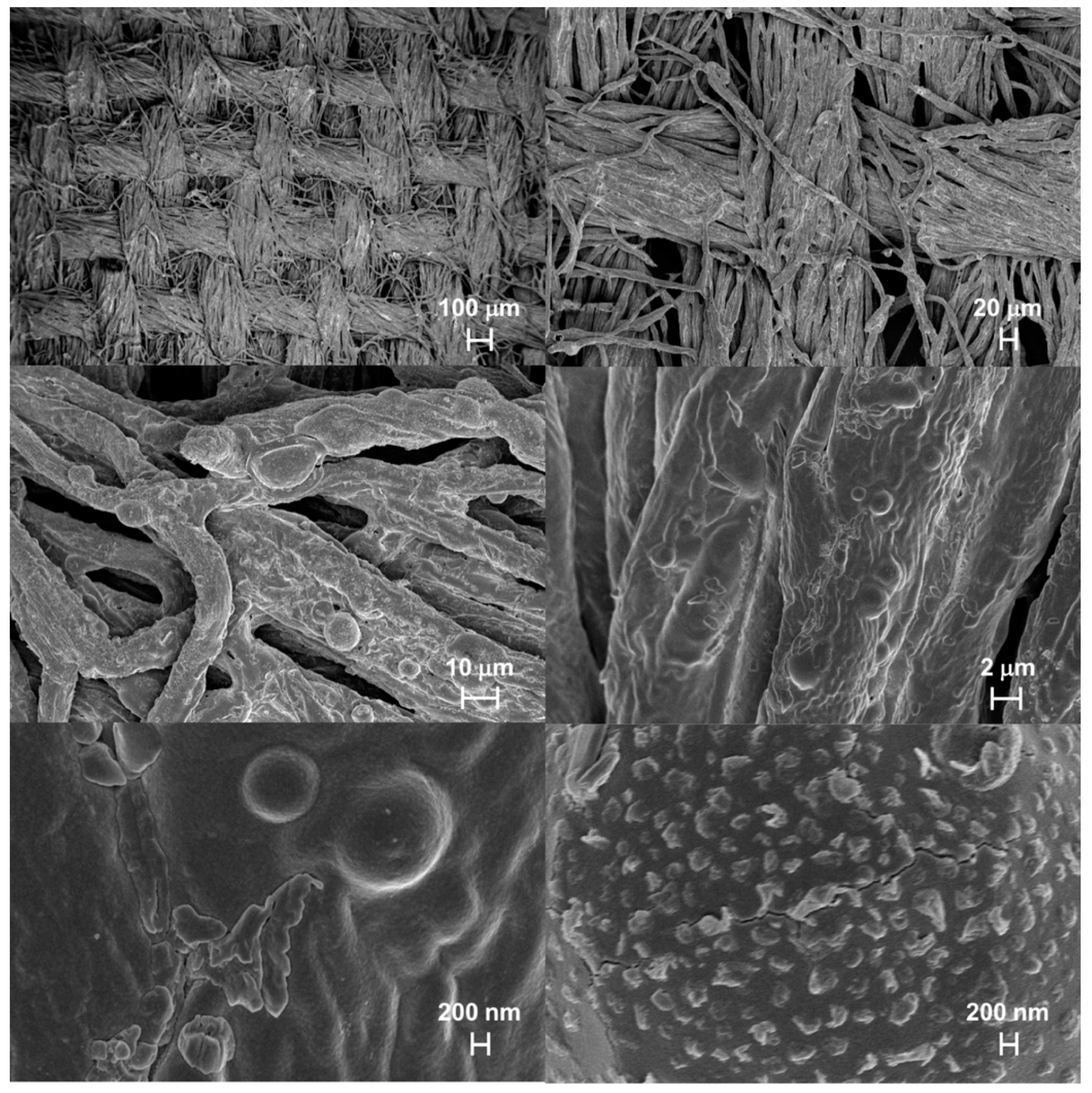 Polymers 11 01904 g012