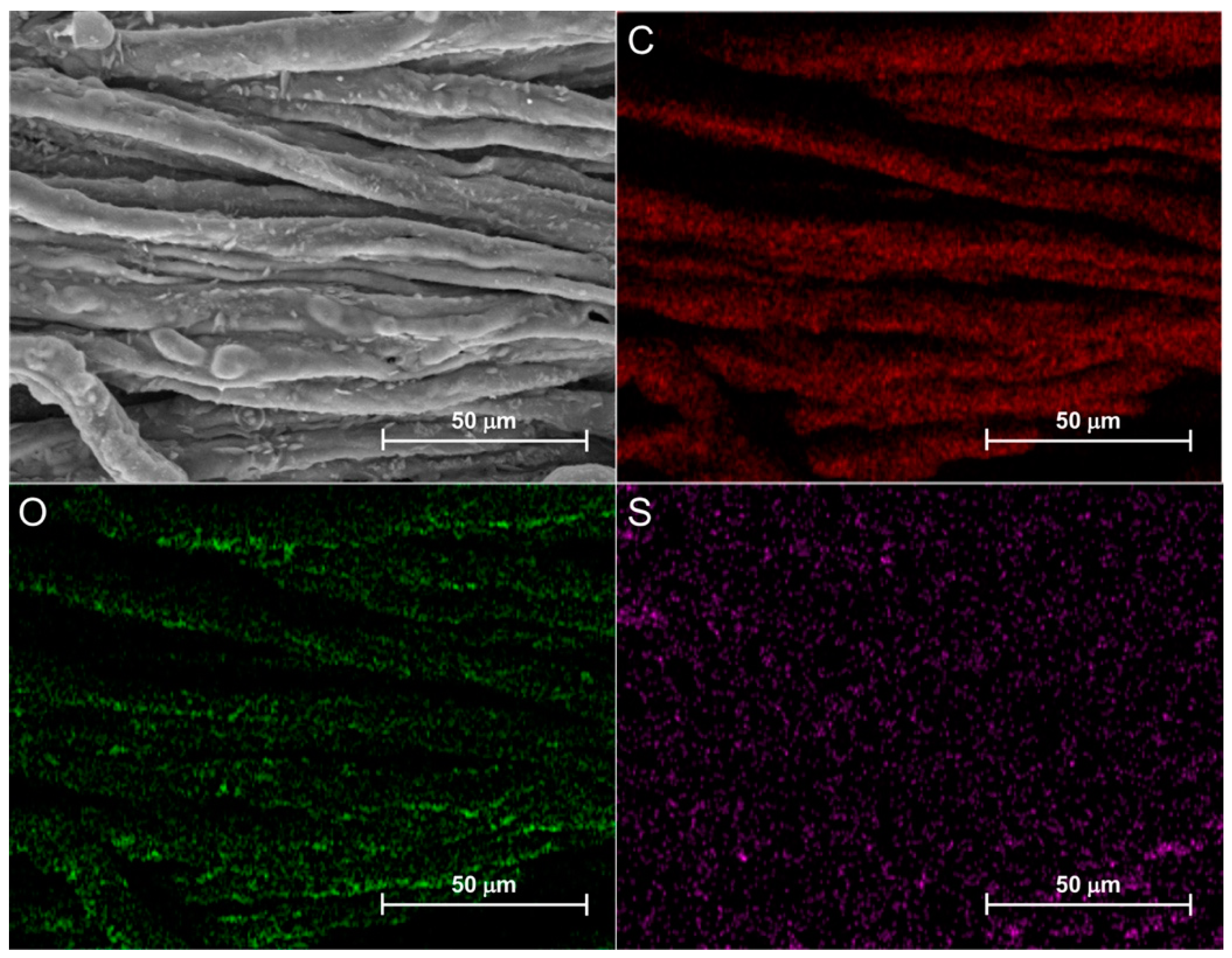 Polymers 11 01904 g013