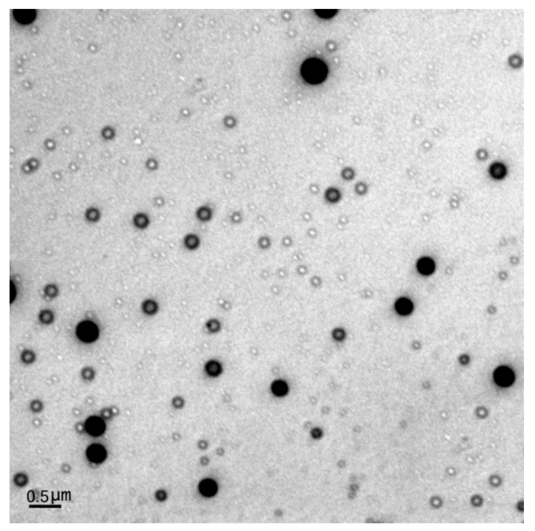 Polymers 11 01905 g004 Polymers 11 01905 g004
