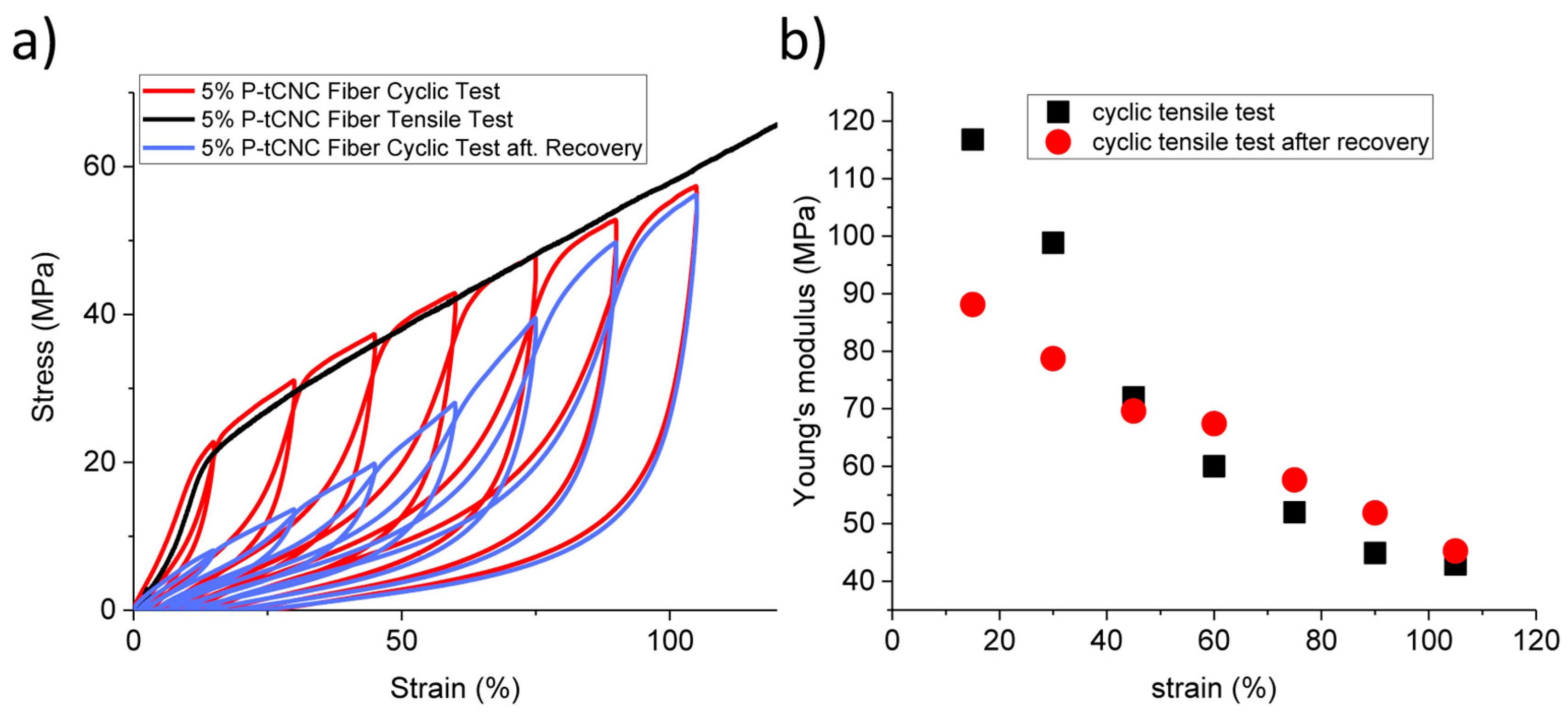 Polymers 11 01912 g005