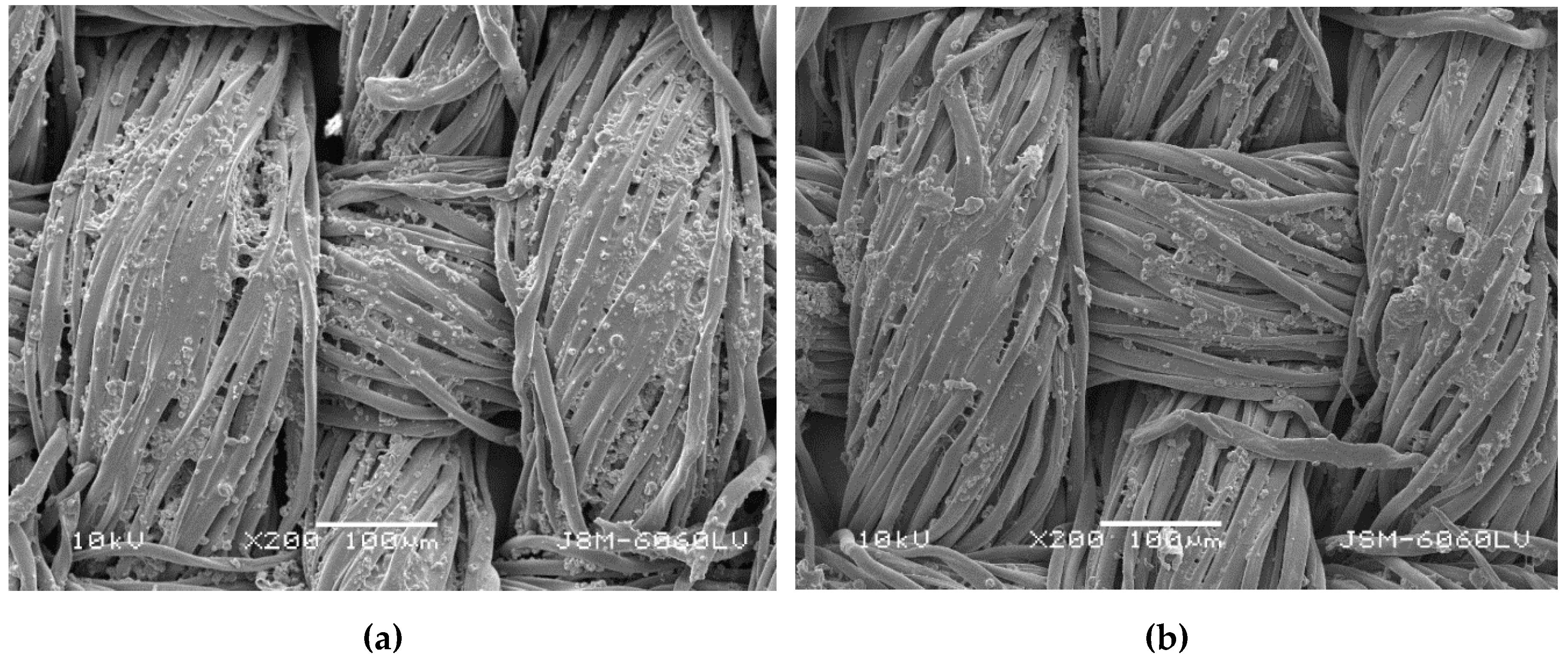 Polymers 11 01919 g001