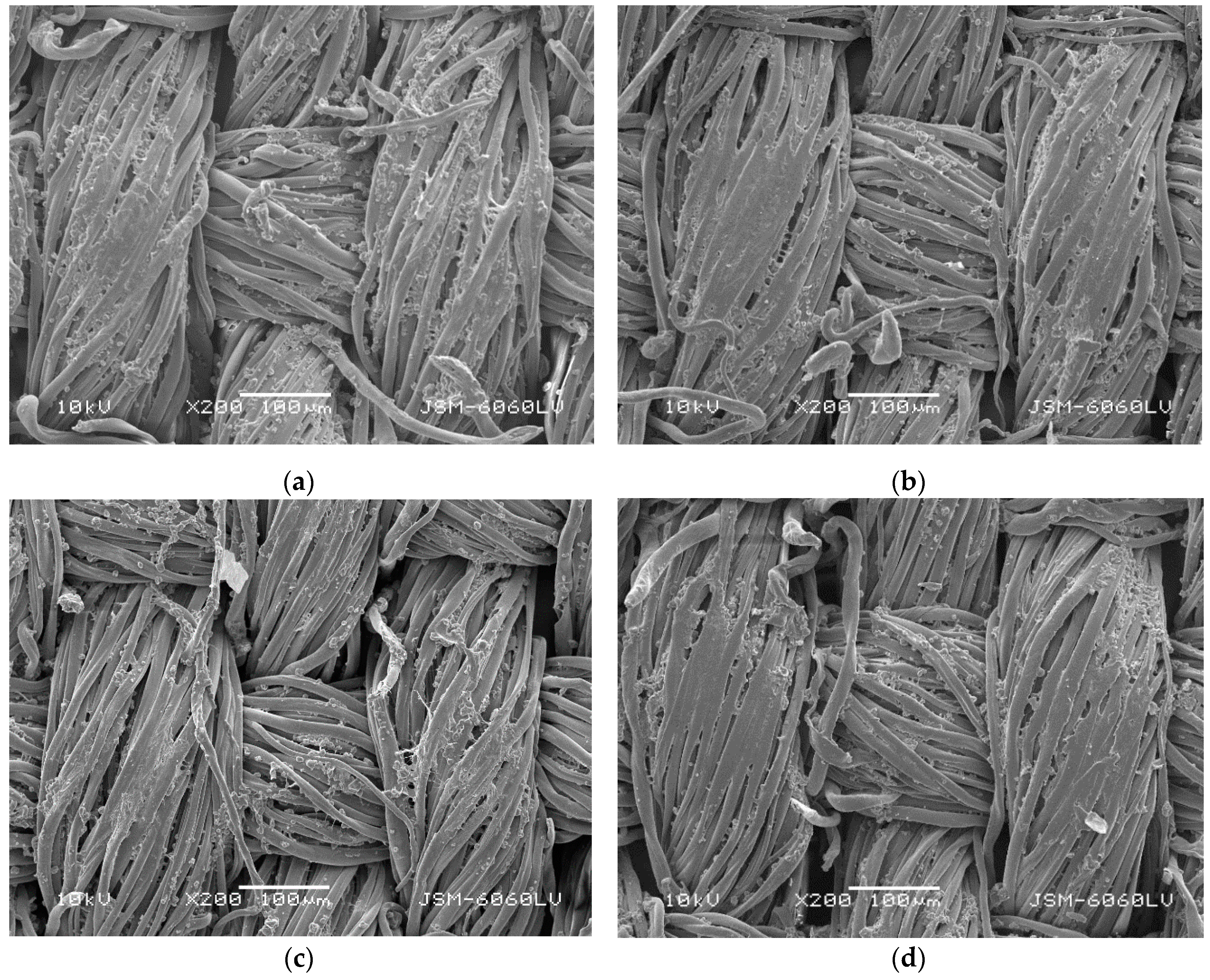 Polymers 11 01919 g003