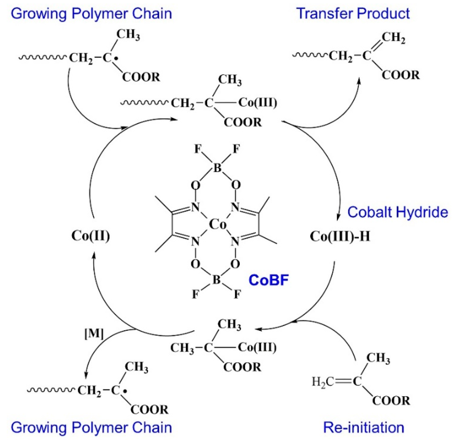Polymers 11 01922 g001