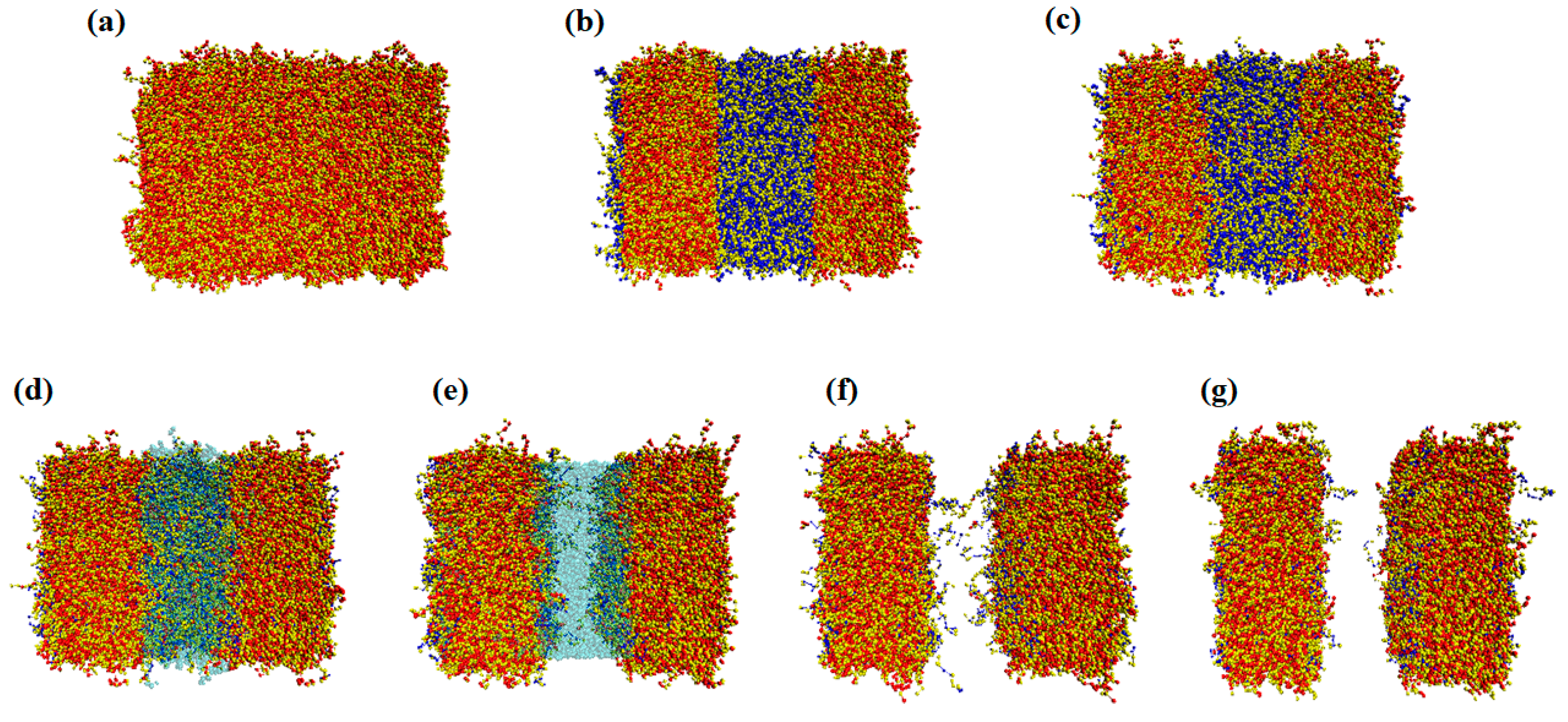 Polymers 11 01923 g002