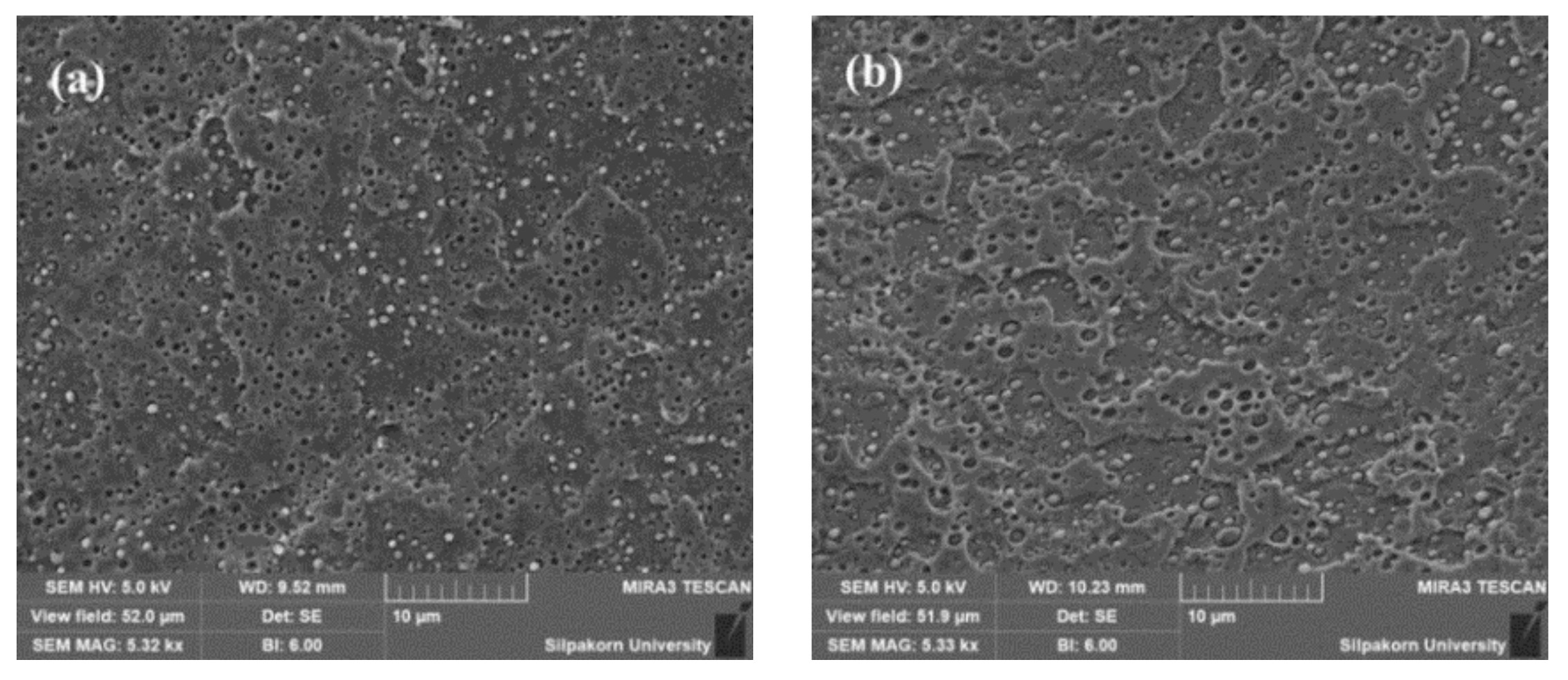 Polymers 11 01925 g002