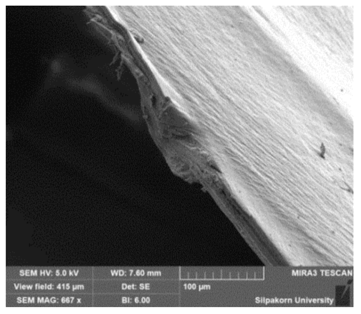 Polymers 11 01925 g003