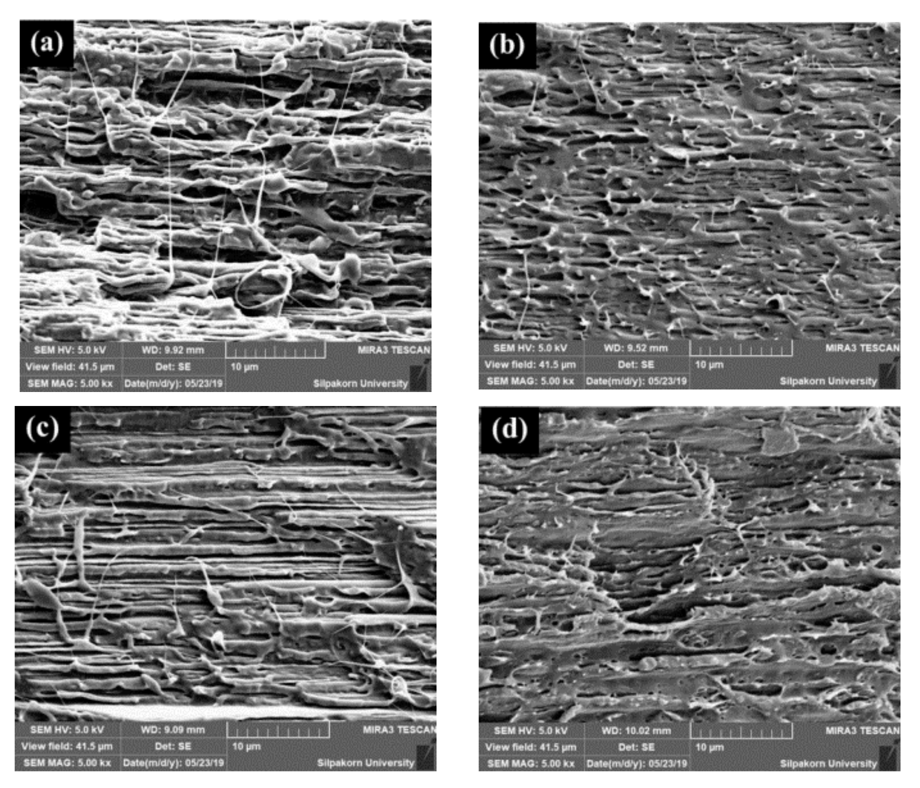 Polymers 11 01925 g016