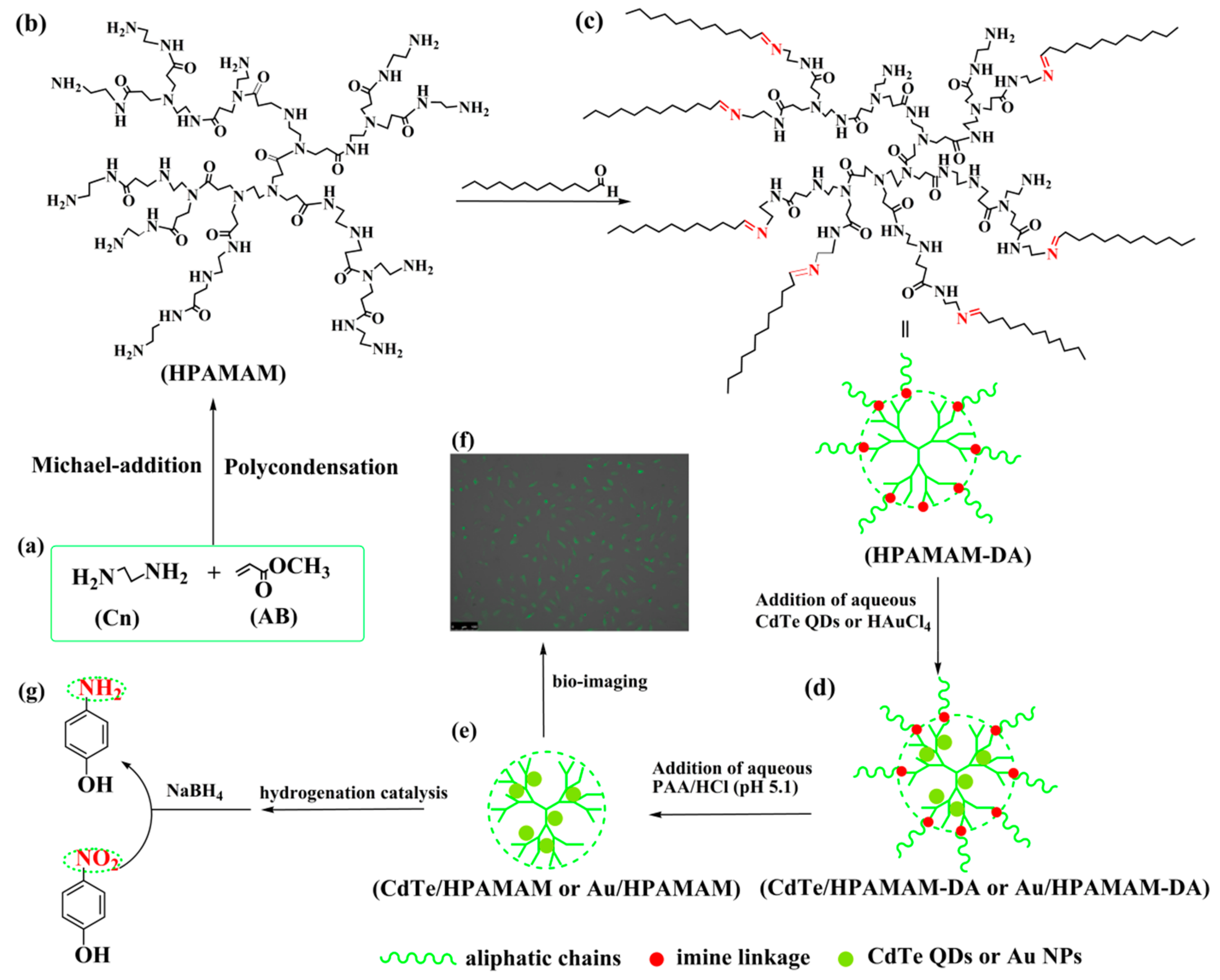 Polymers 11 01926 sch001