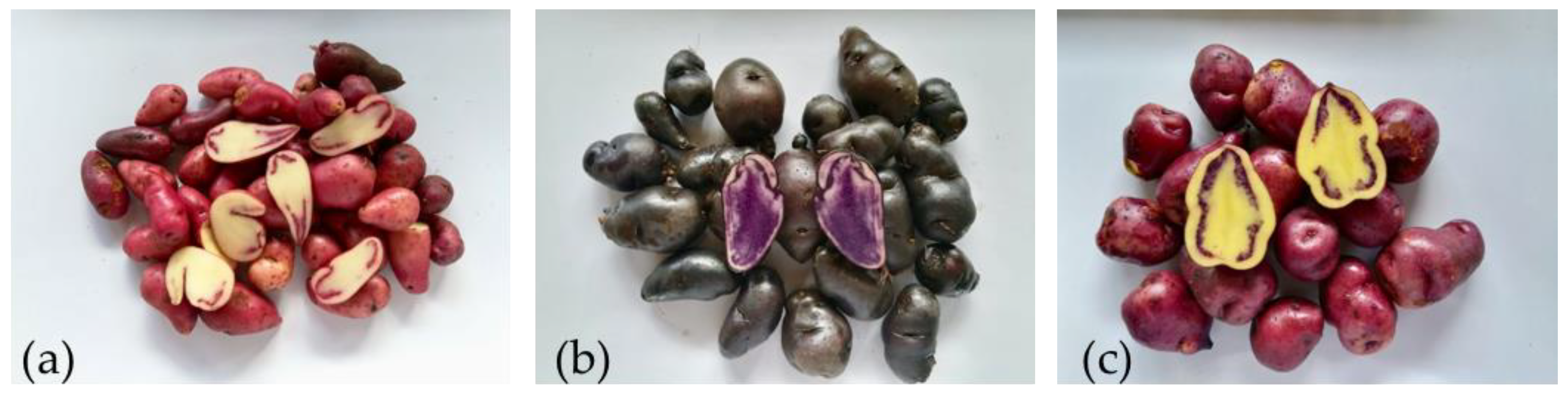 Polymers 11 01937 g001