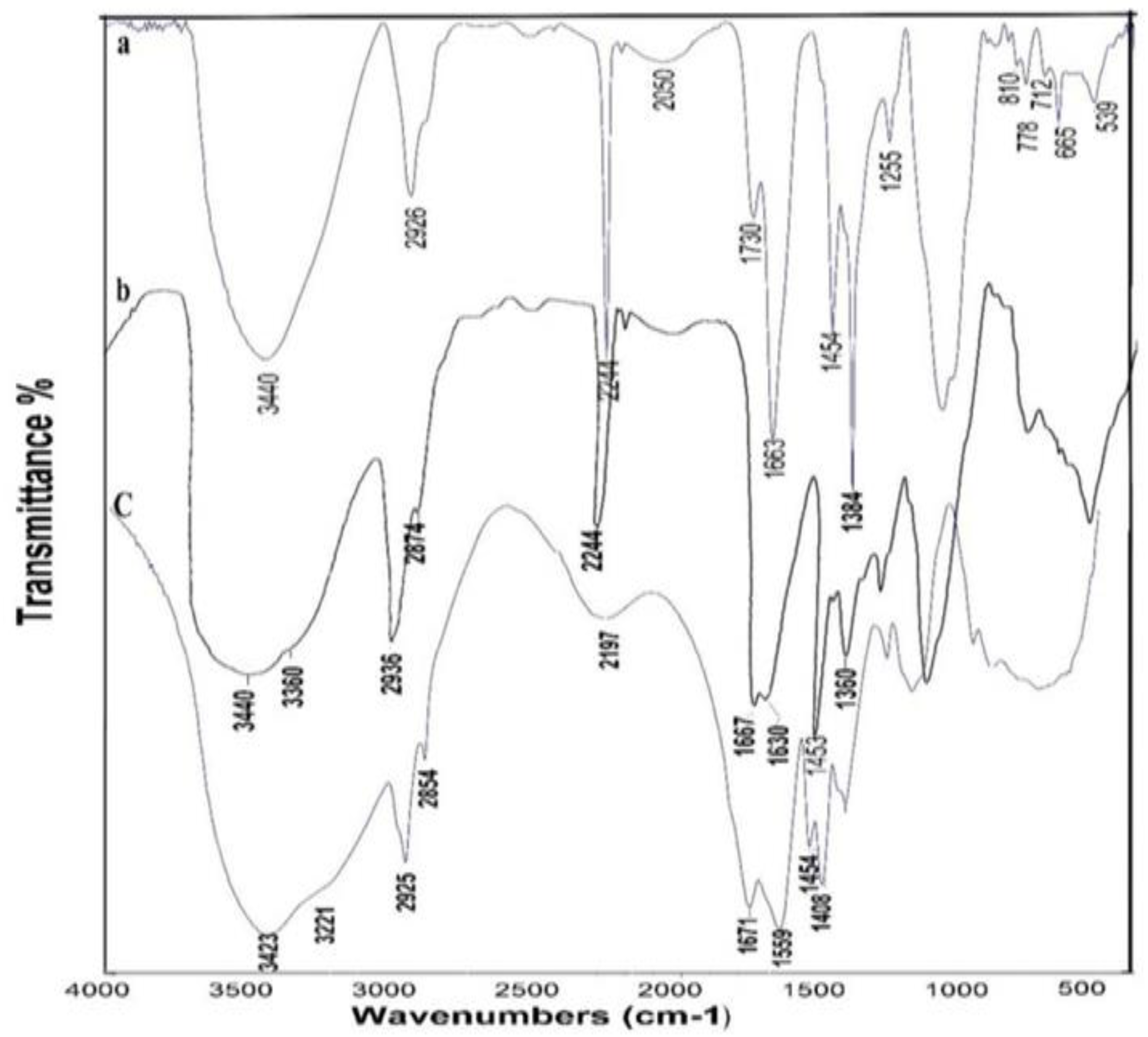 Polymers 11 01938 g001