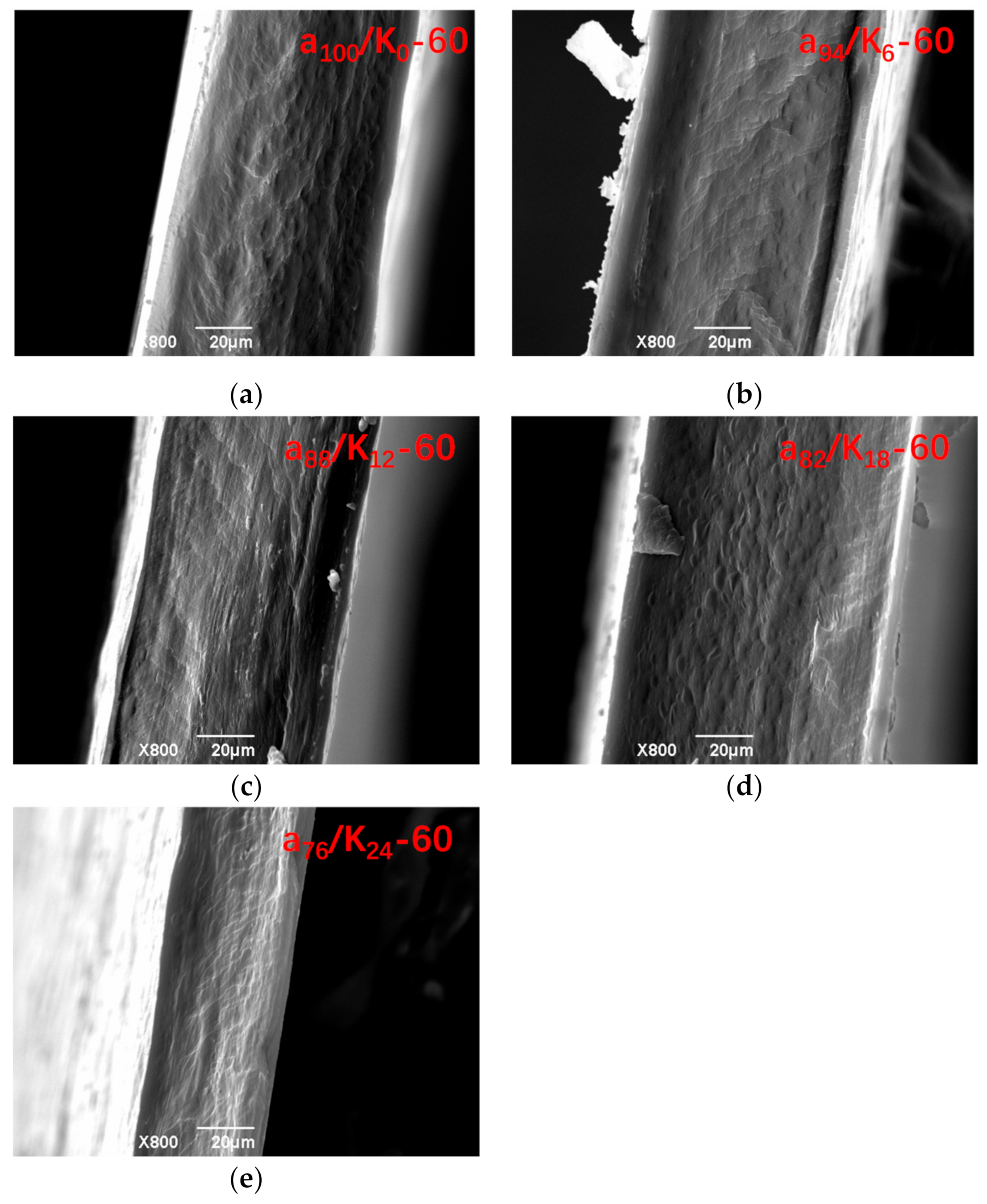 Polymers 11 01952 g001