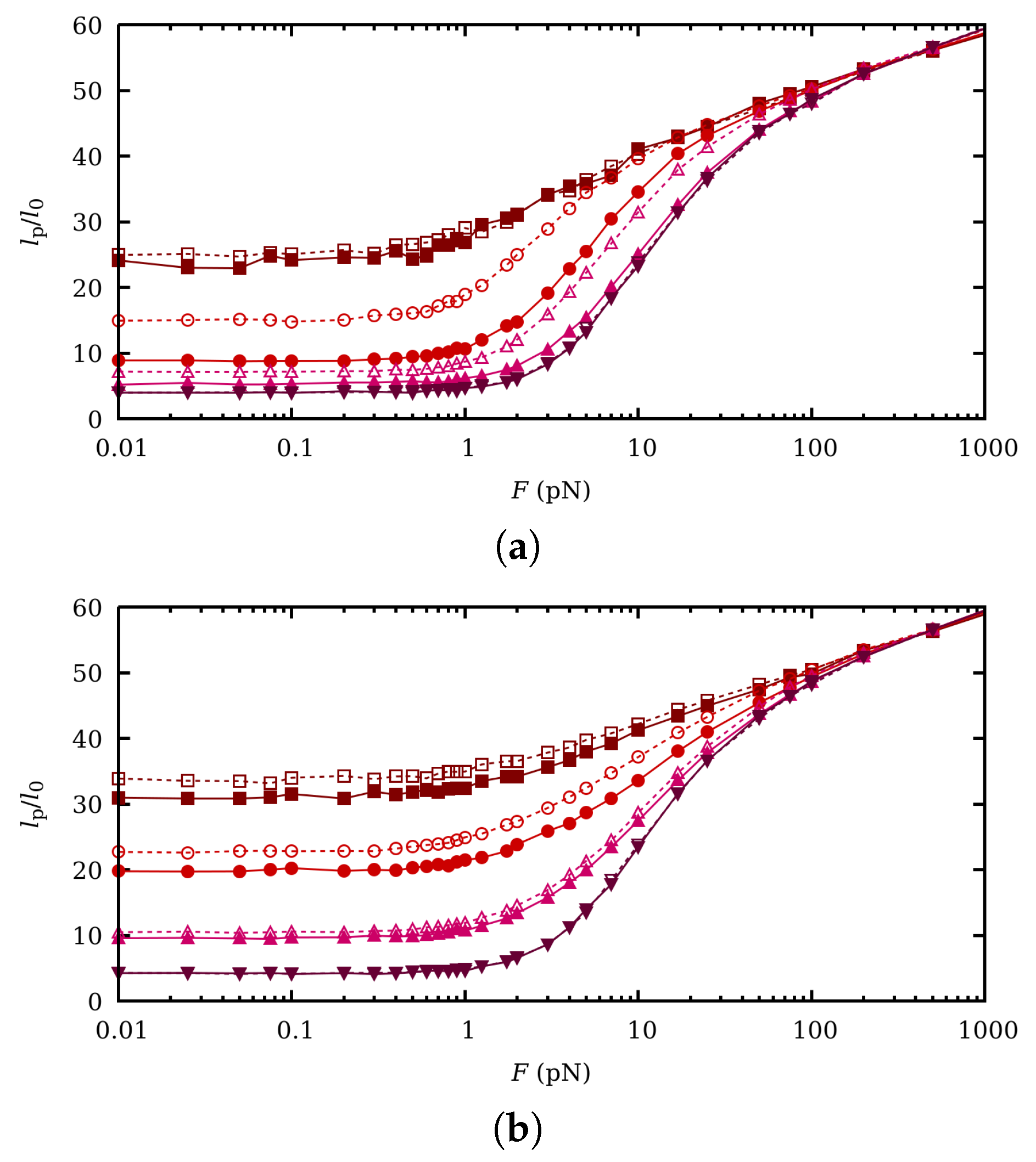Polymers 11 01962 g008