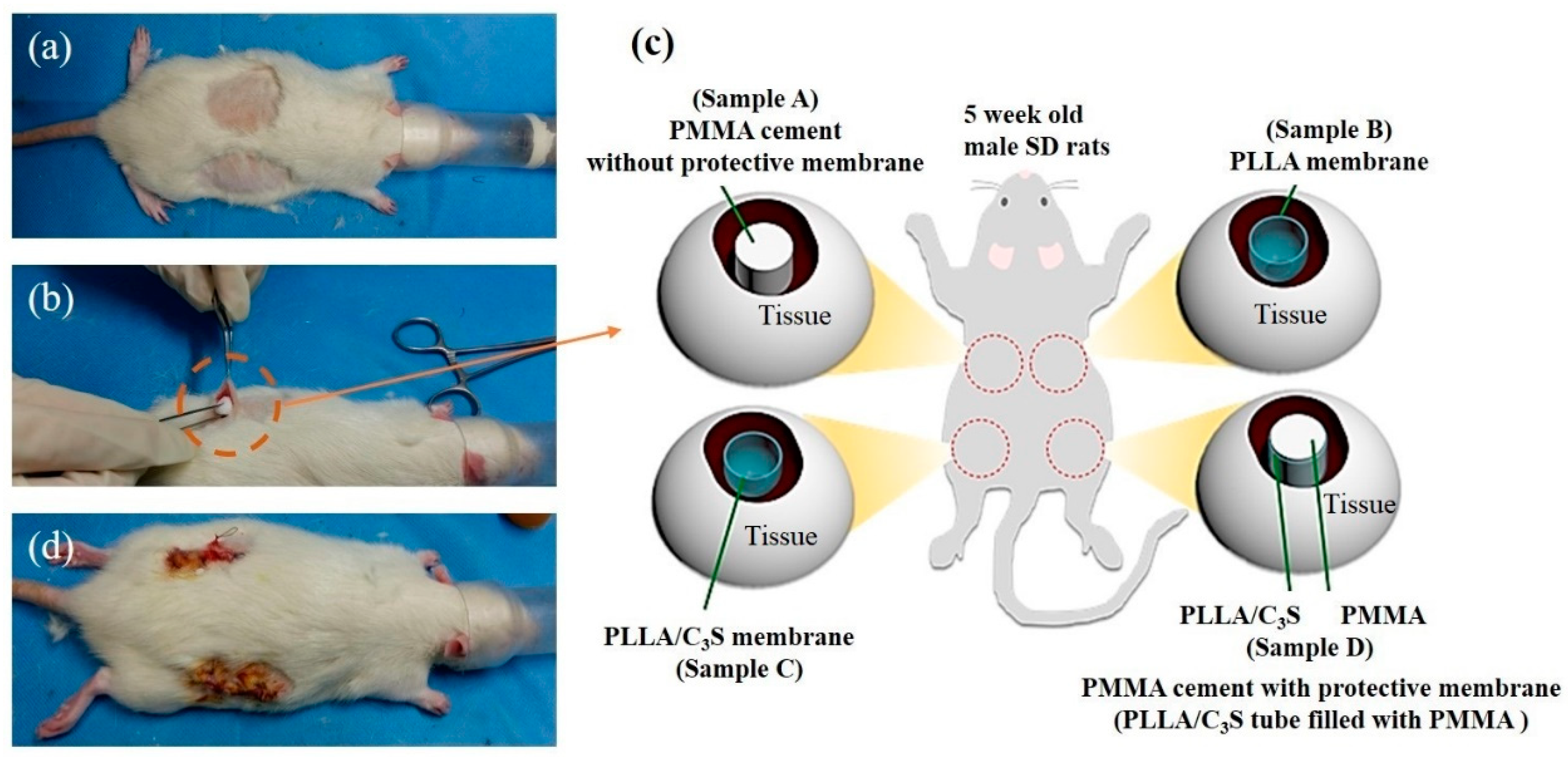 Polymers 11 01971 g001