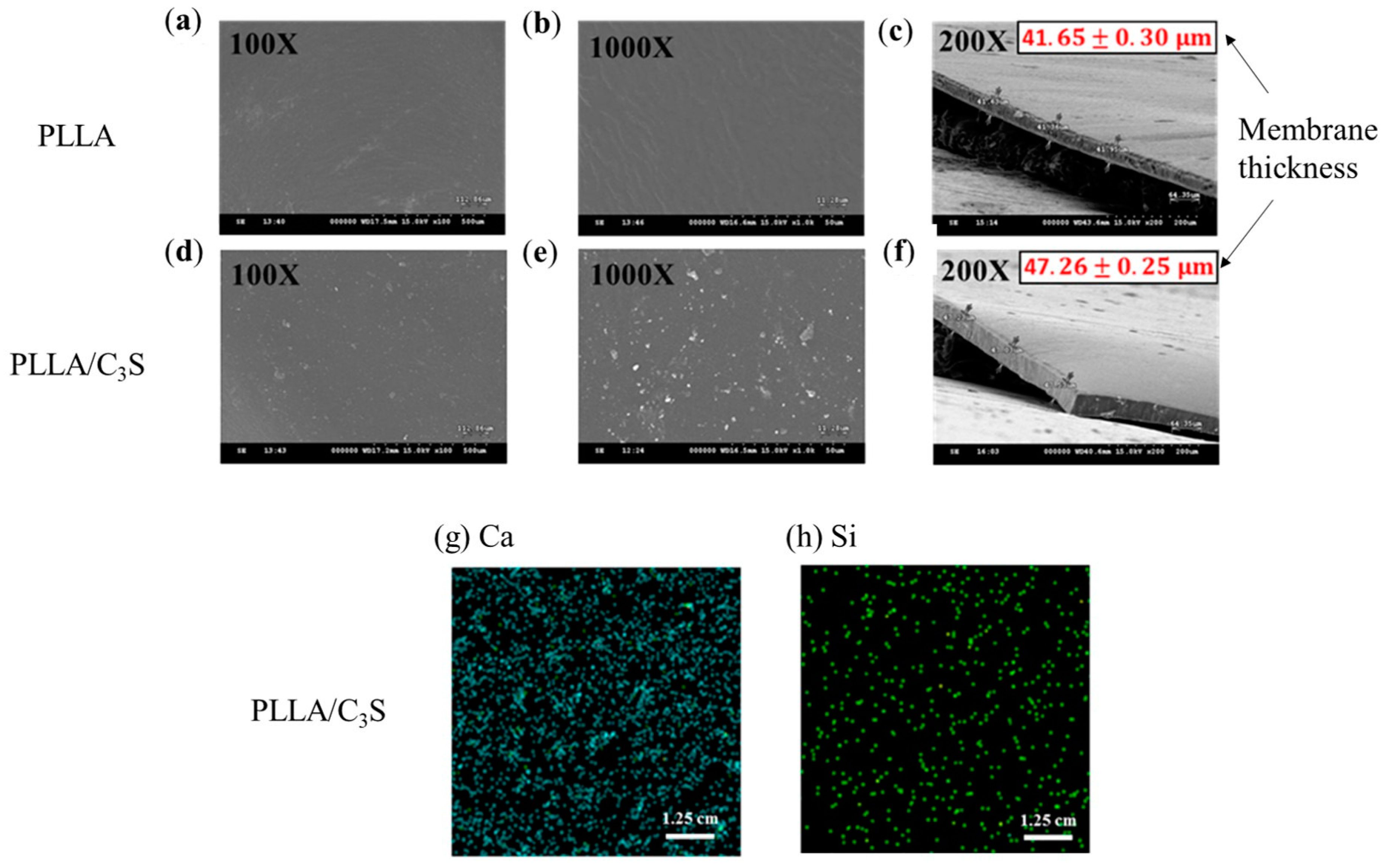 Polymers 11 01971 g004