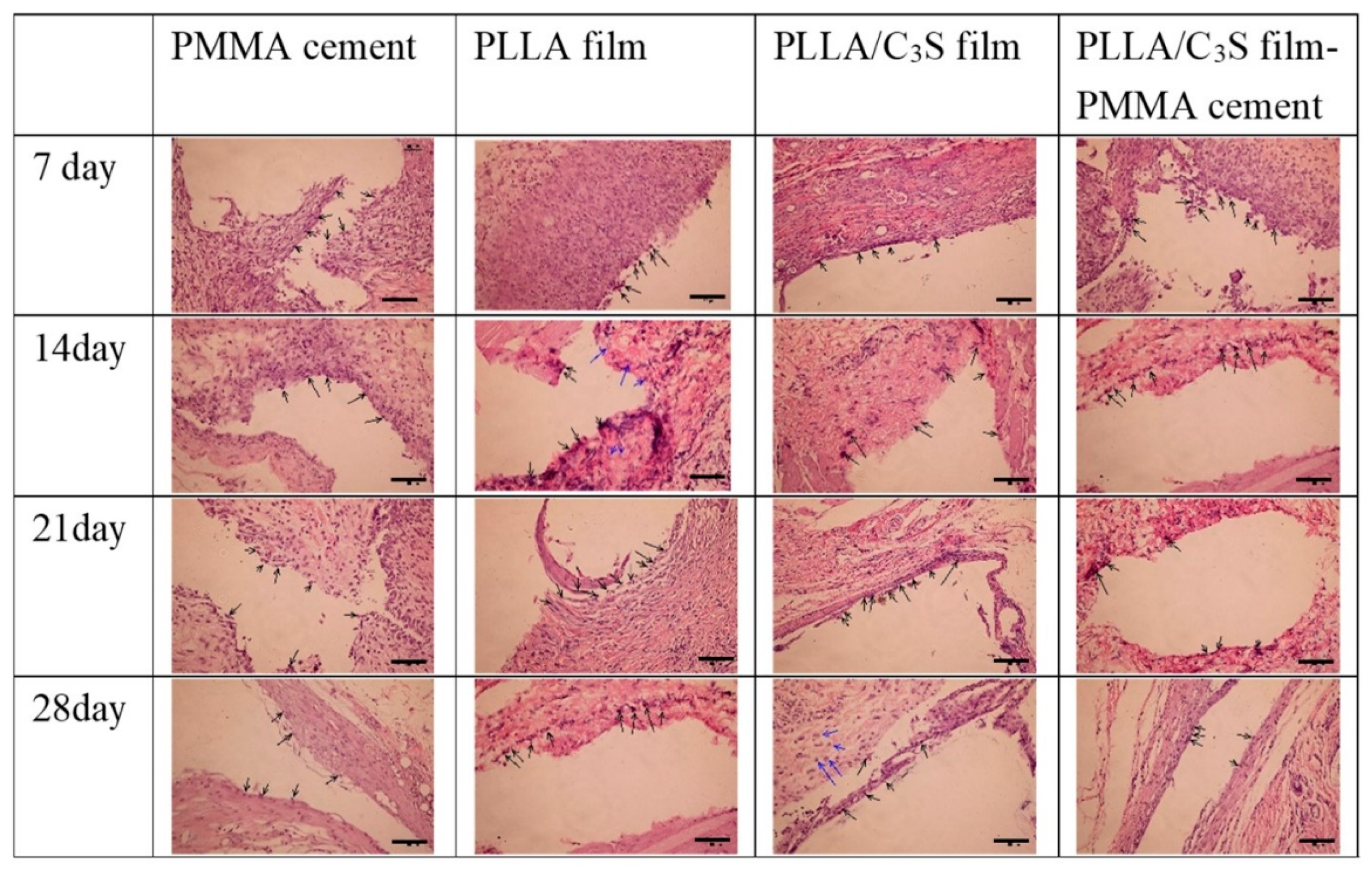 Polymers 11 01971 g011