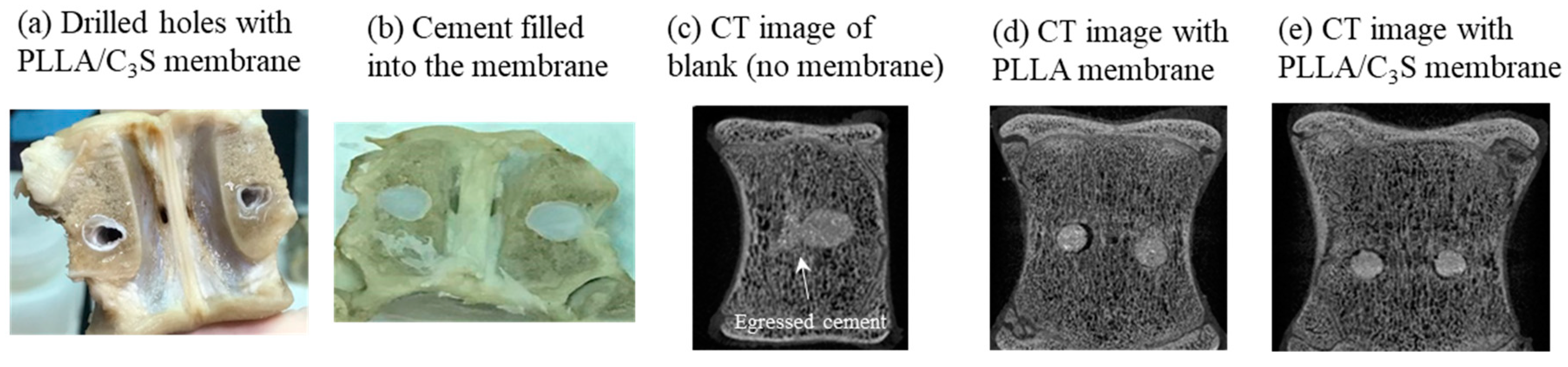 Polymers 11 01971 g012