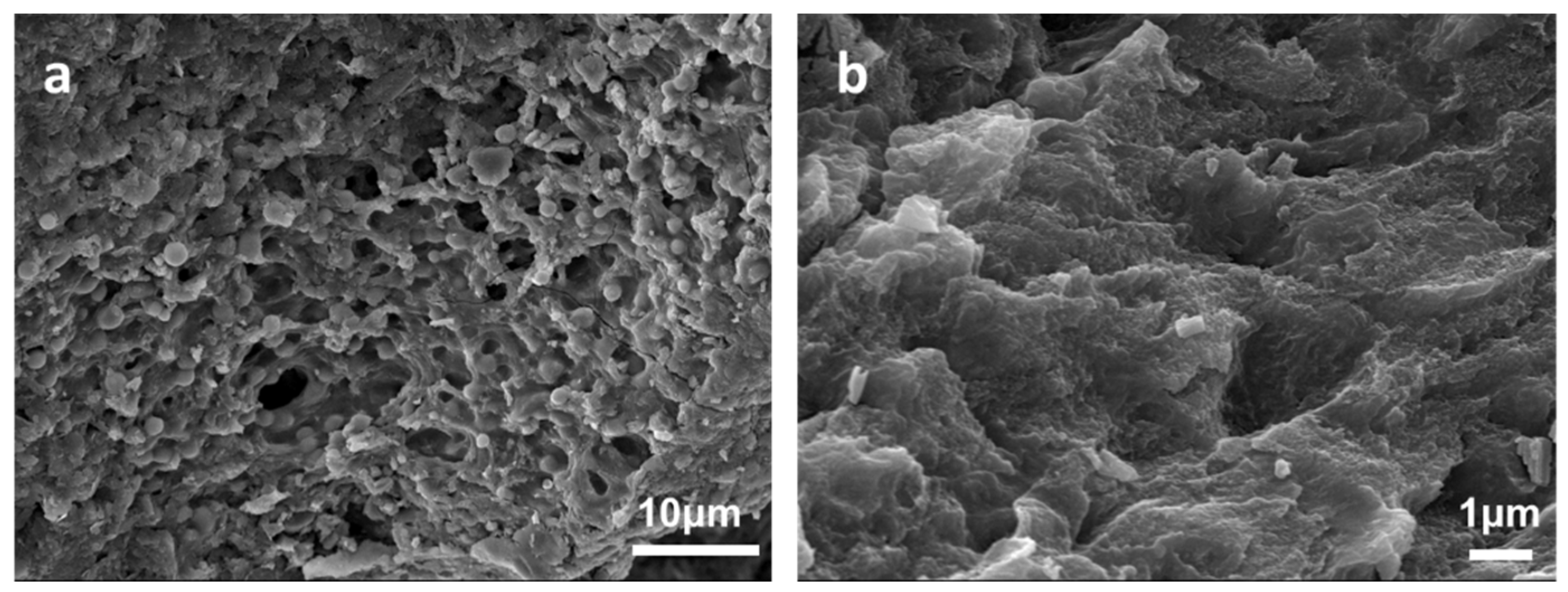 Polymers 11 01973 g003