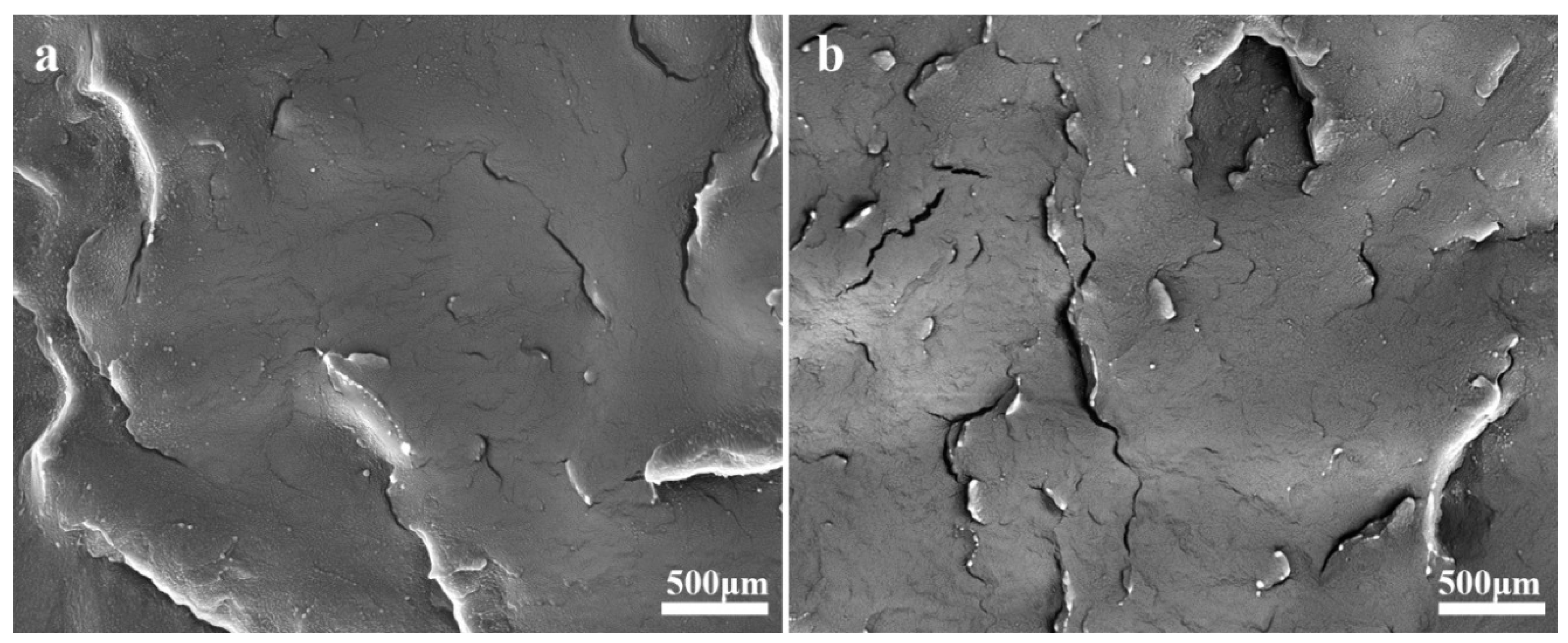 Polymers 11 01981 g011
