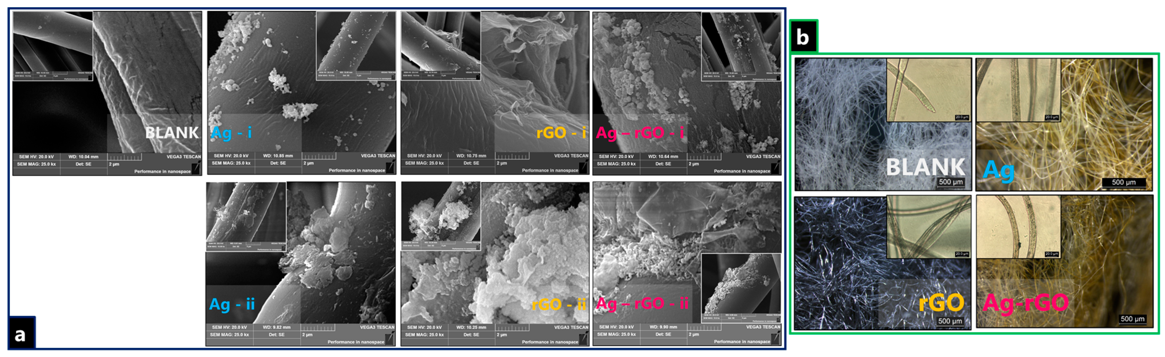 Polymers 11 02000 g001 Polymers 11 02000 g001