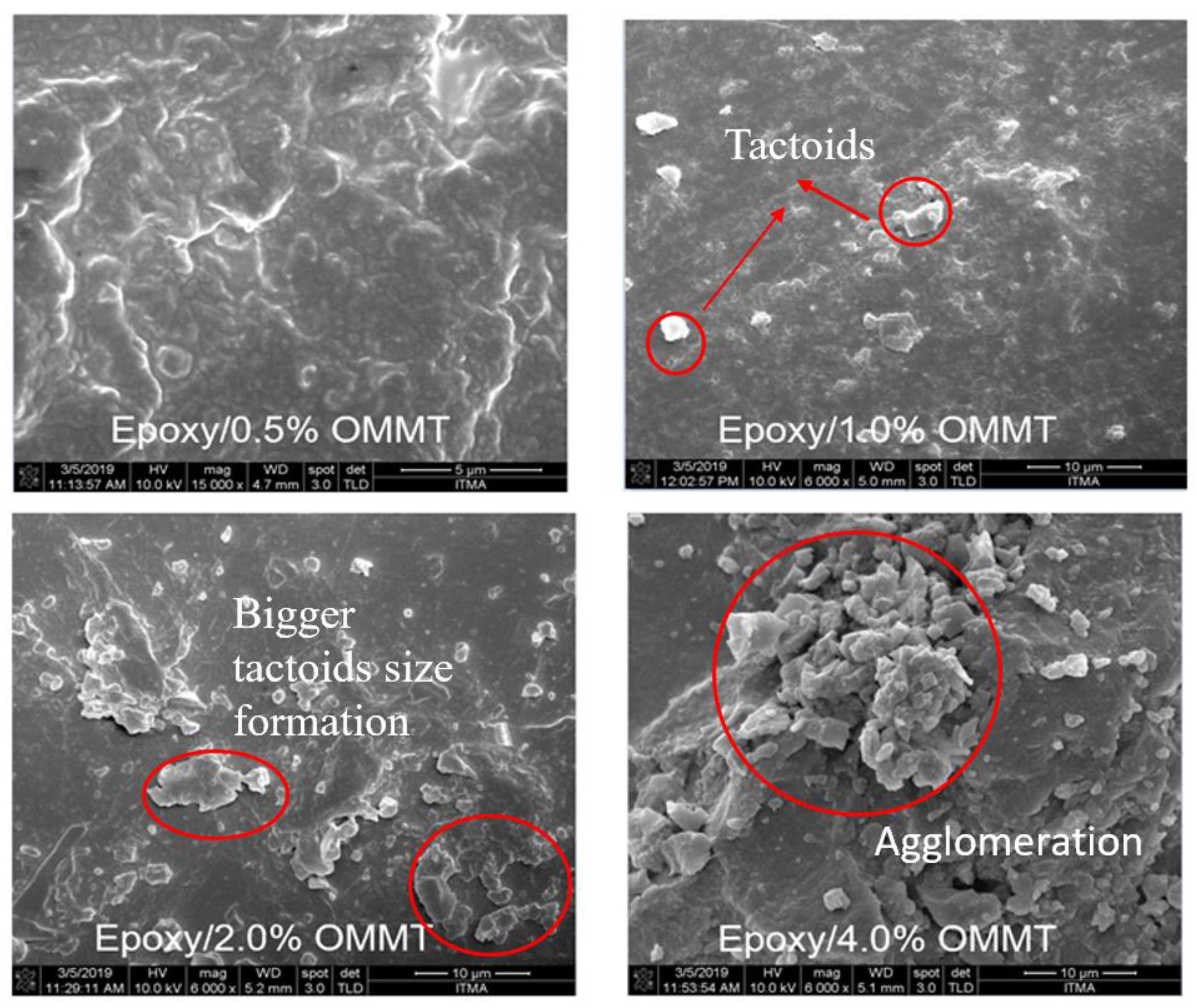 Polymers 11 02012 g008