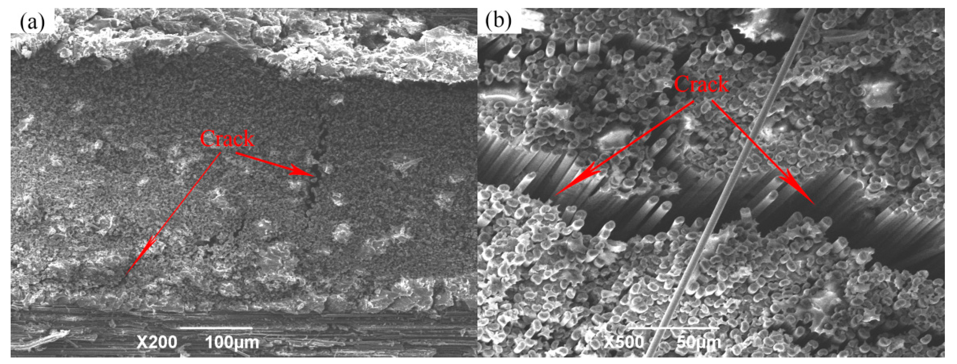 Polymers 11 02014 g014 Polymers 11 02014 g014