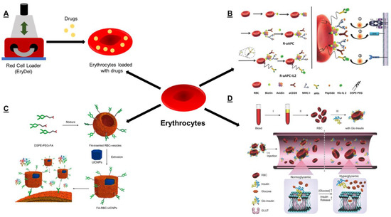 Polymers 11 02017 g002