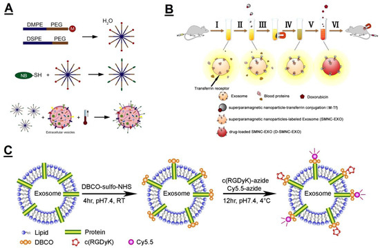 Polymers 11 02017 g008
