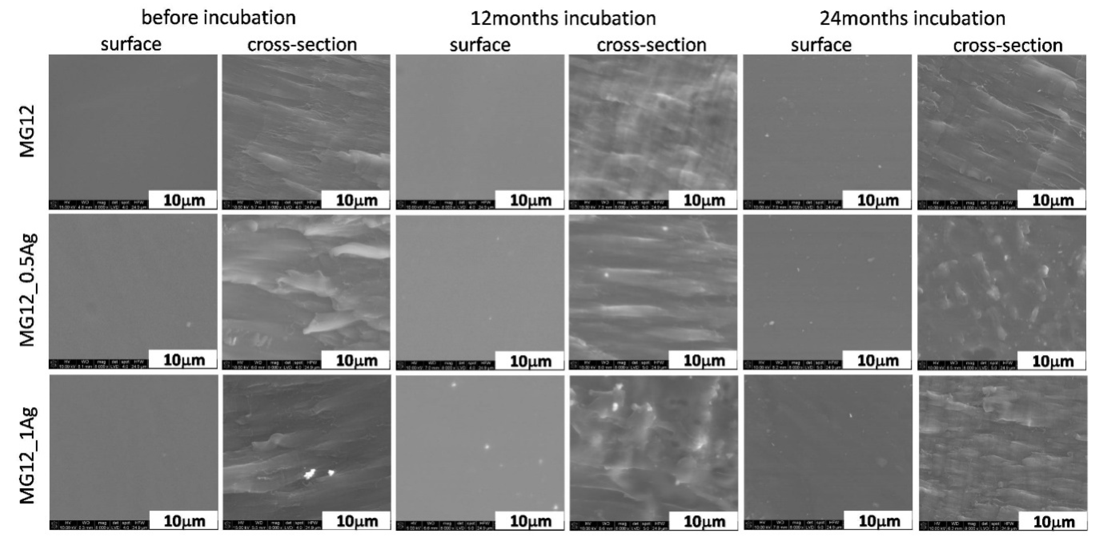 Polymers 11 02018 g002
