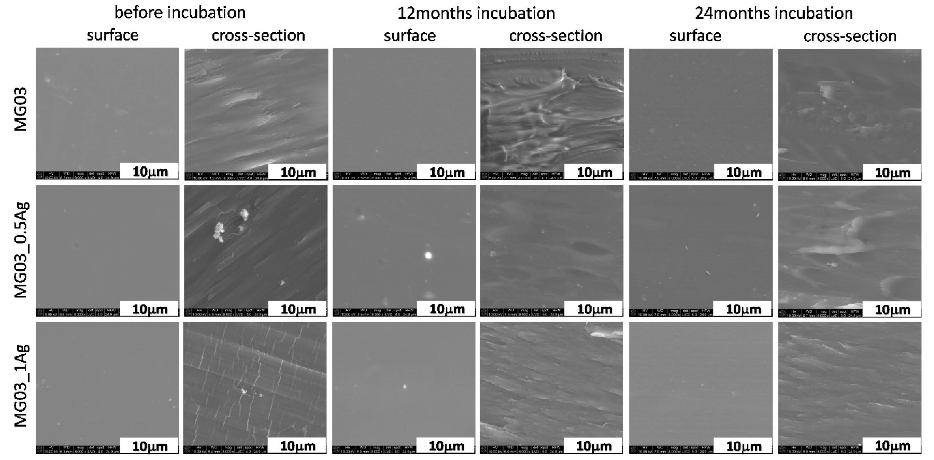 Polymers 11 02018 g003