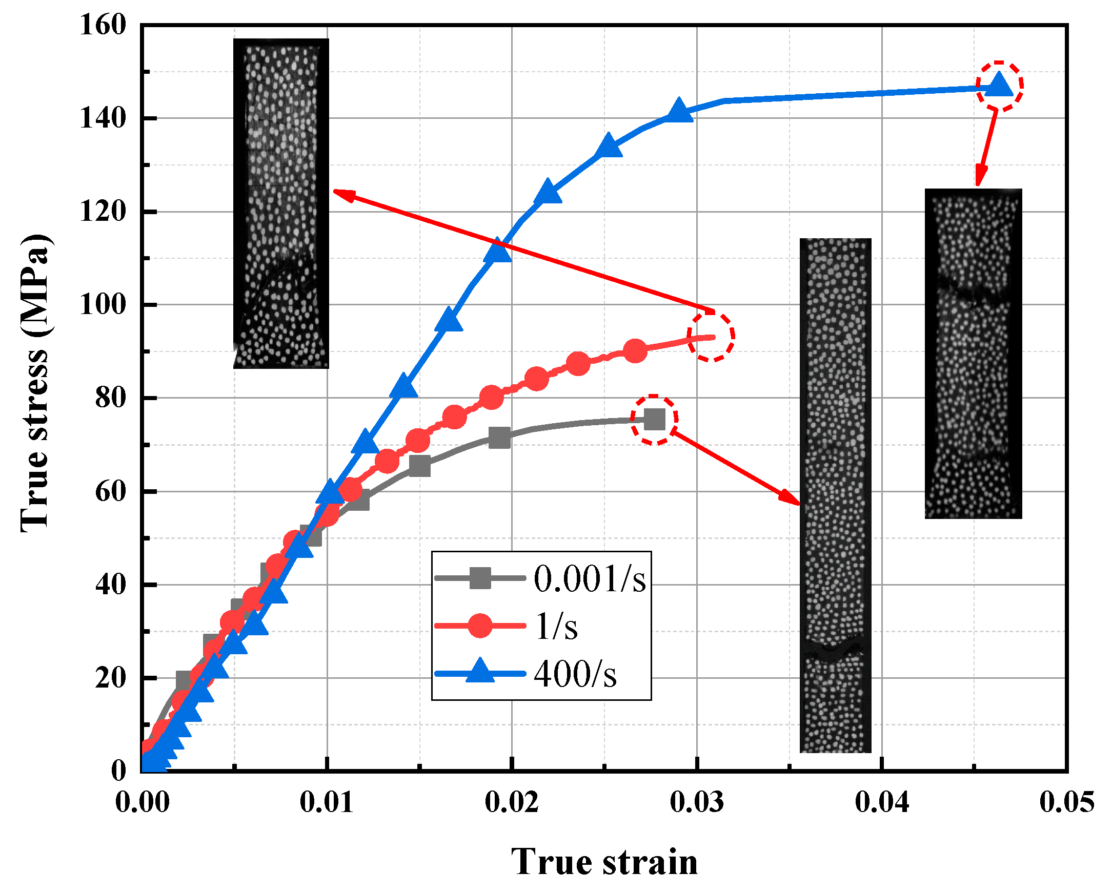 Polymers 11 02019 g007 Polymers 11 02019 g007