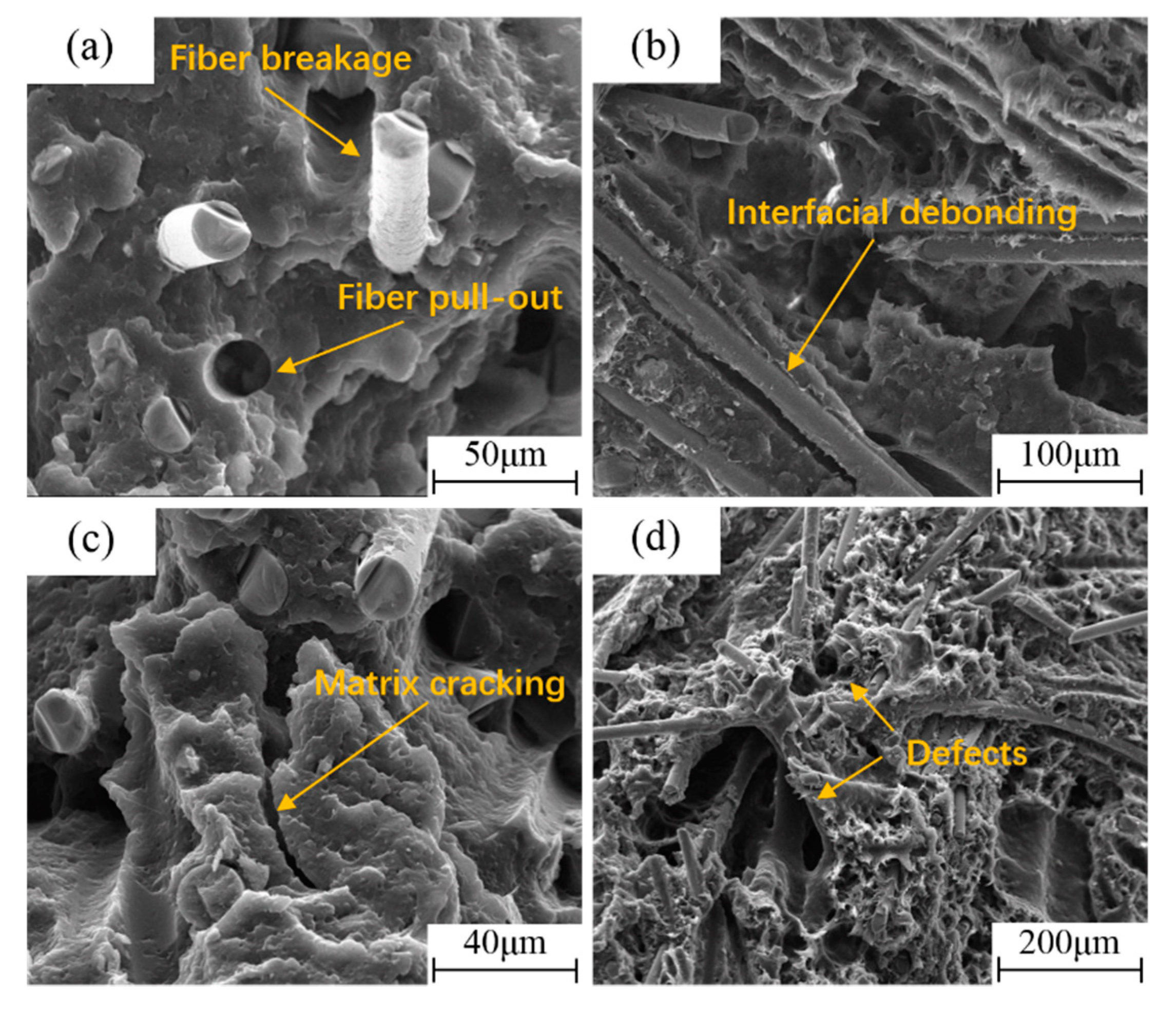 Polymers 11 02019 g009 Polymers 11 02019 g009
