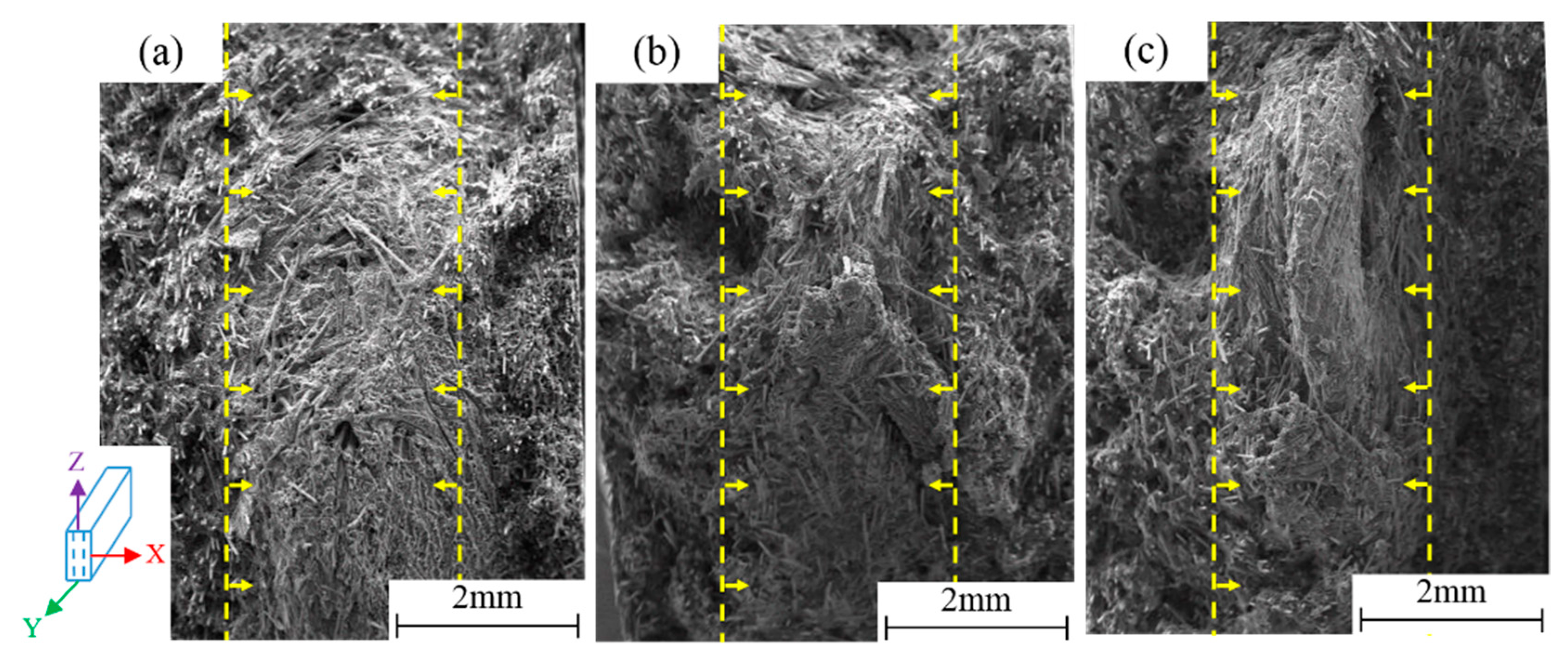 Polymers 11 02019 g011 Polymers 11 02019 g011