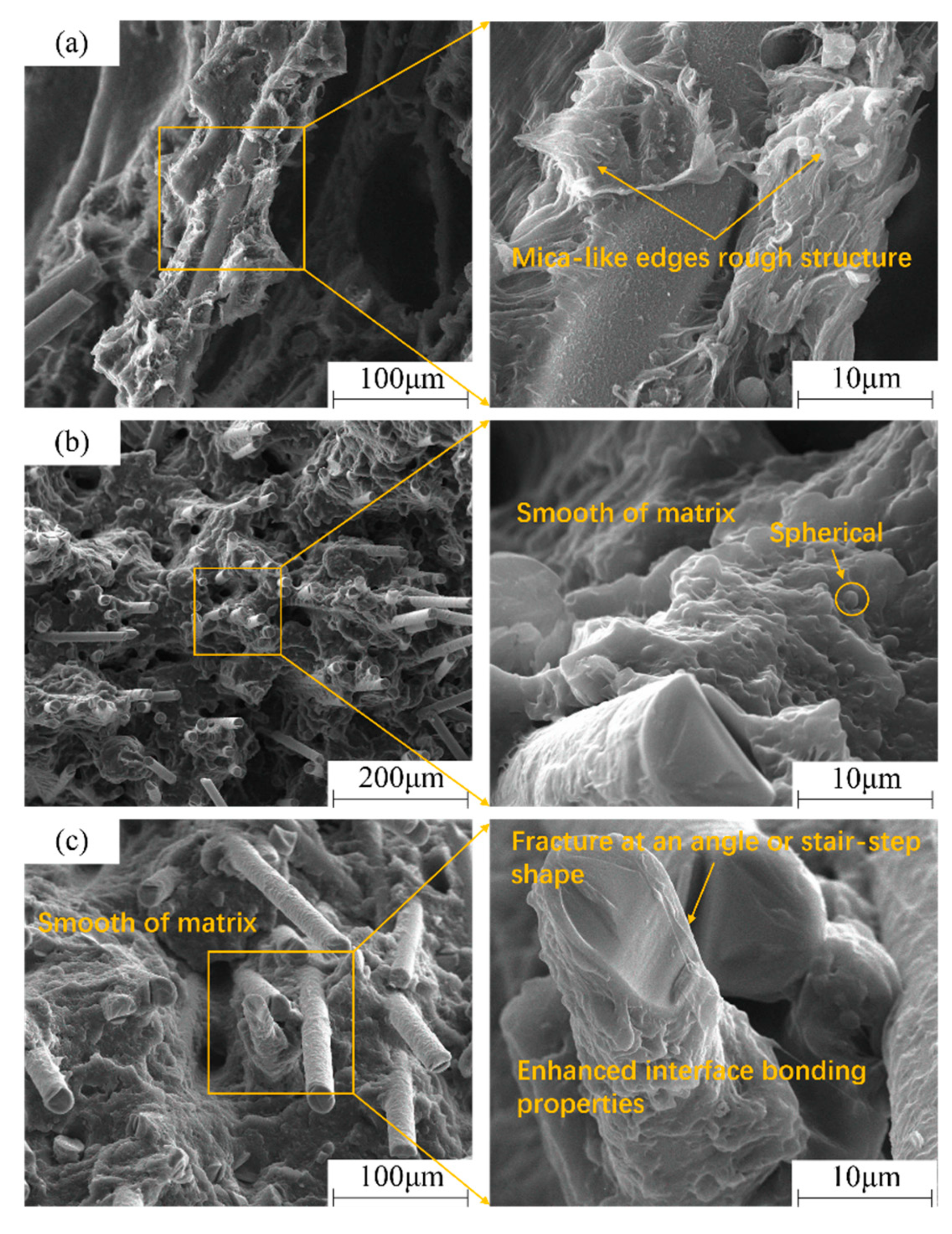 Polymers 11 02019 g012 Polymers 11 02019 g012