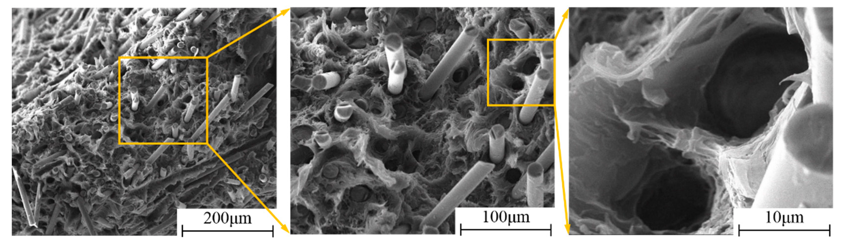 Polymers 11 02019 g013 Polymers 11 02019 g013