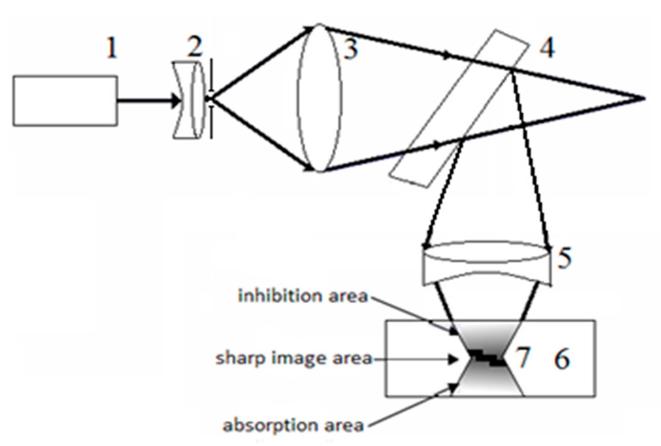 Polymers 11 02020 g009