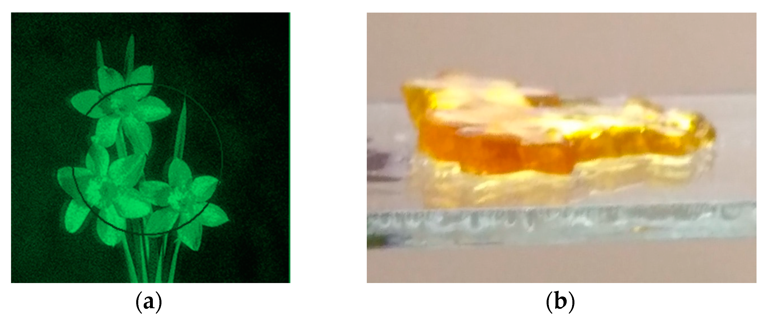 Polymers 11 02020 g010a