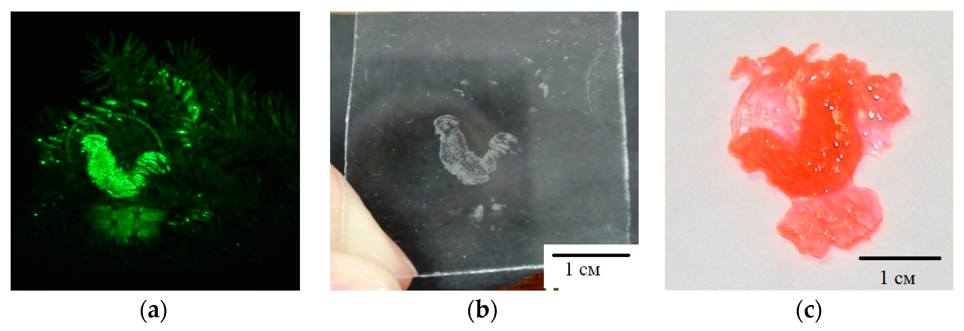 Polymers 11 02020 g011