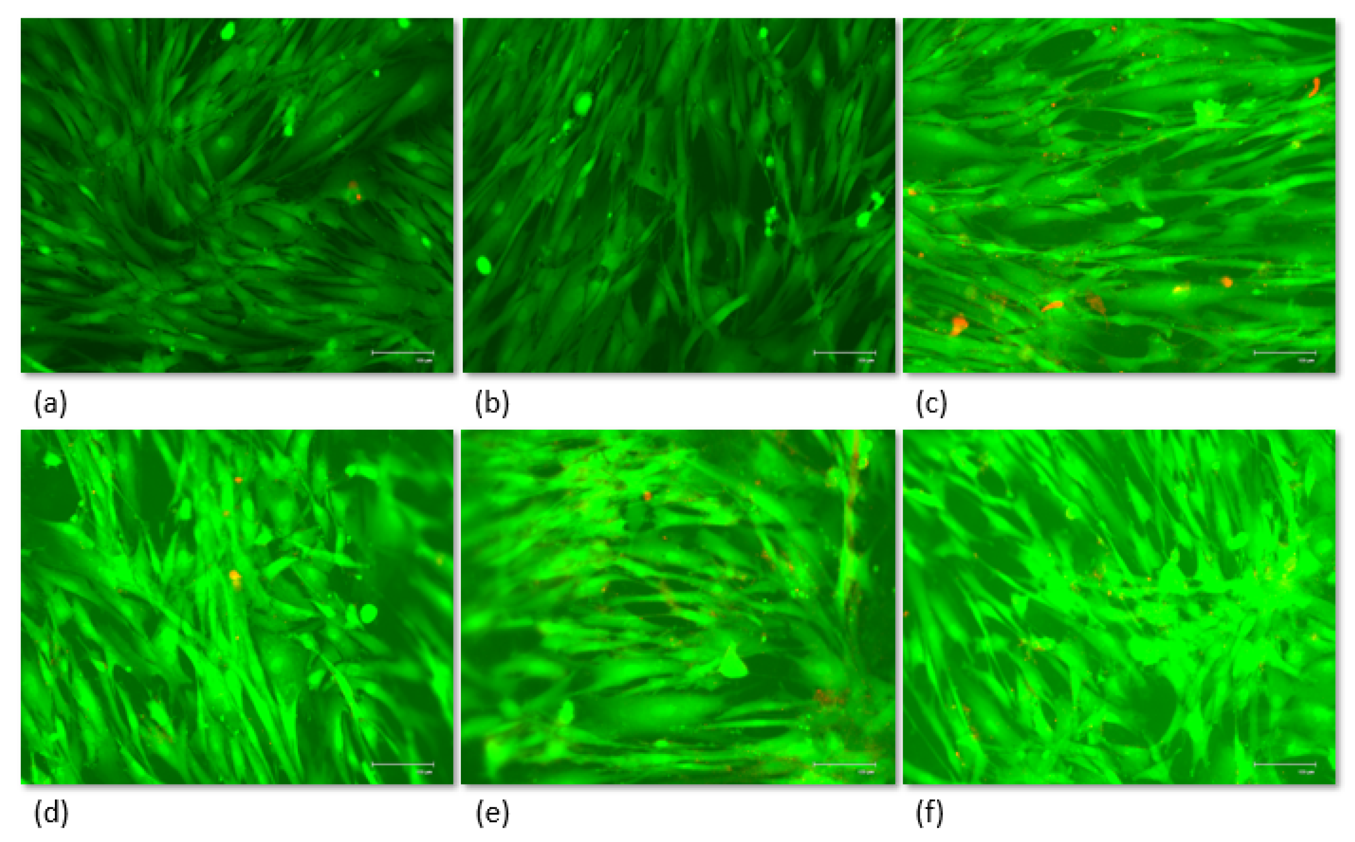 Polymers 11 02022 g011