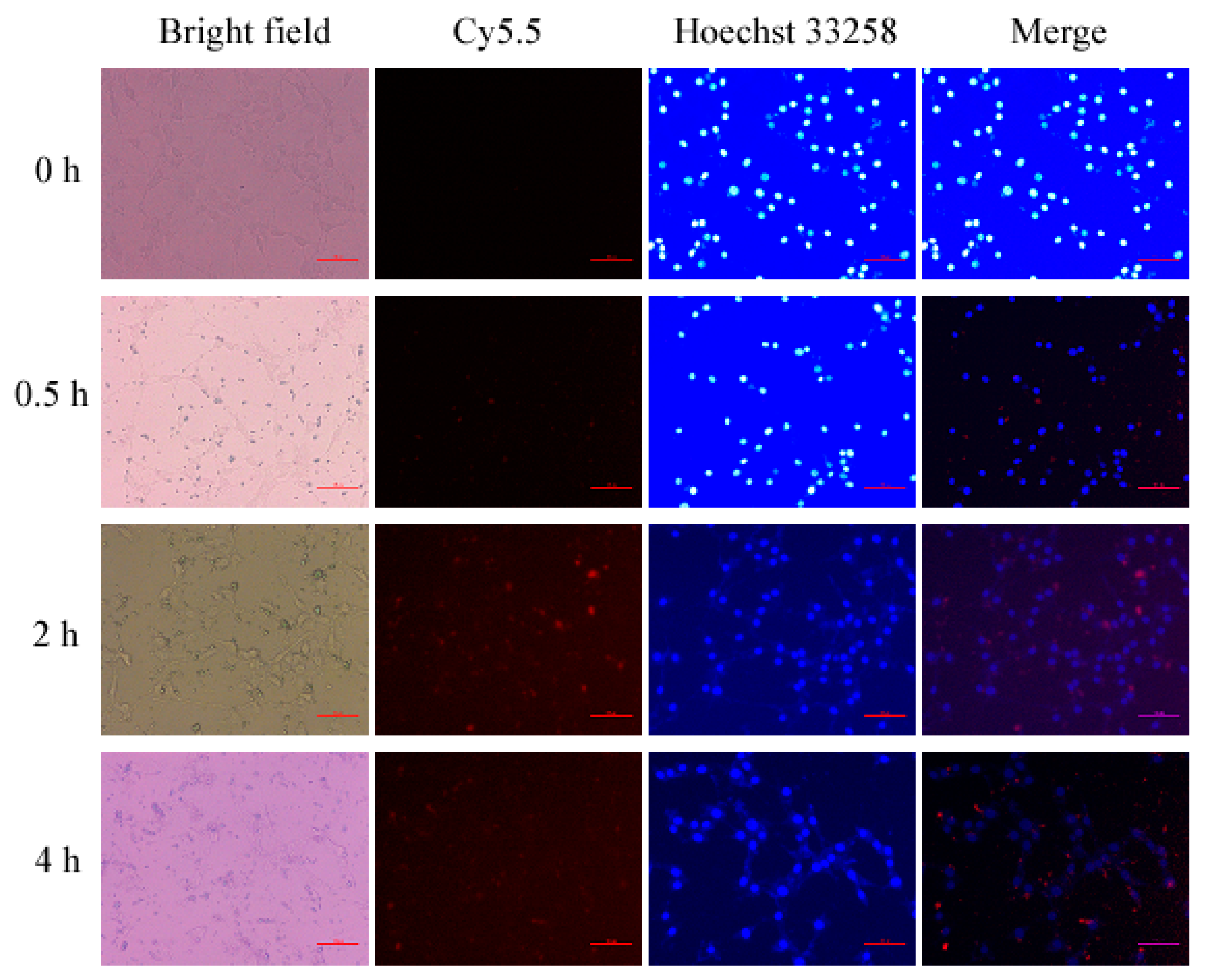 Polymers 11 02026 g008