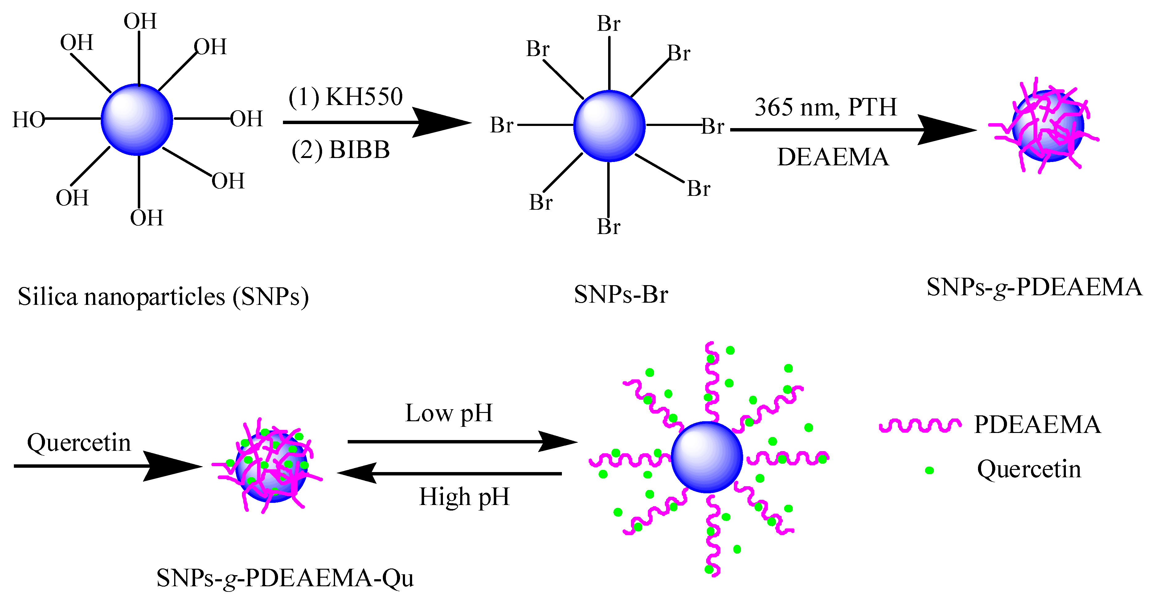 Polymers 11 02026 sch001