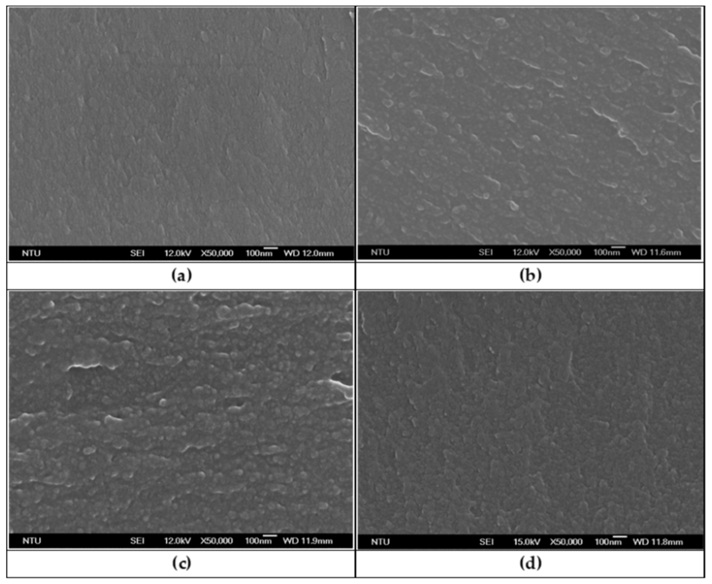 Polymers 11 02029 g008