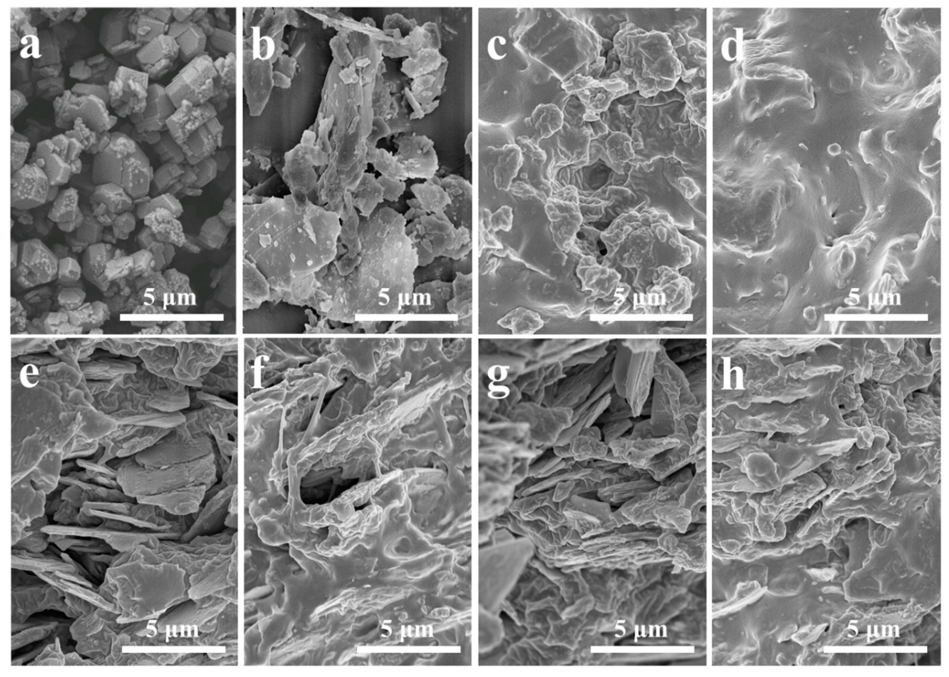 Polymers 11 02030 g002