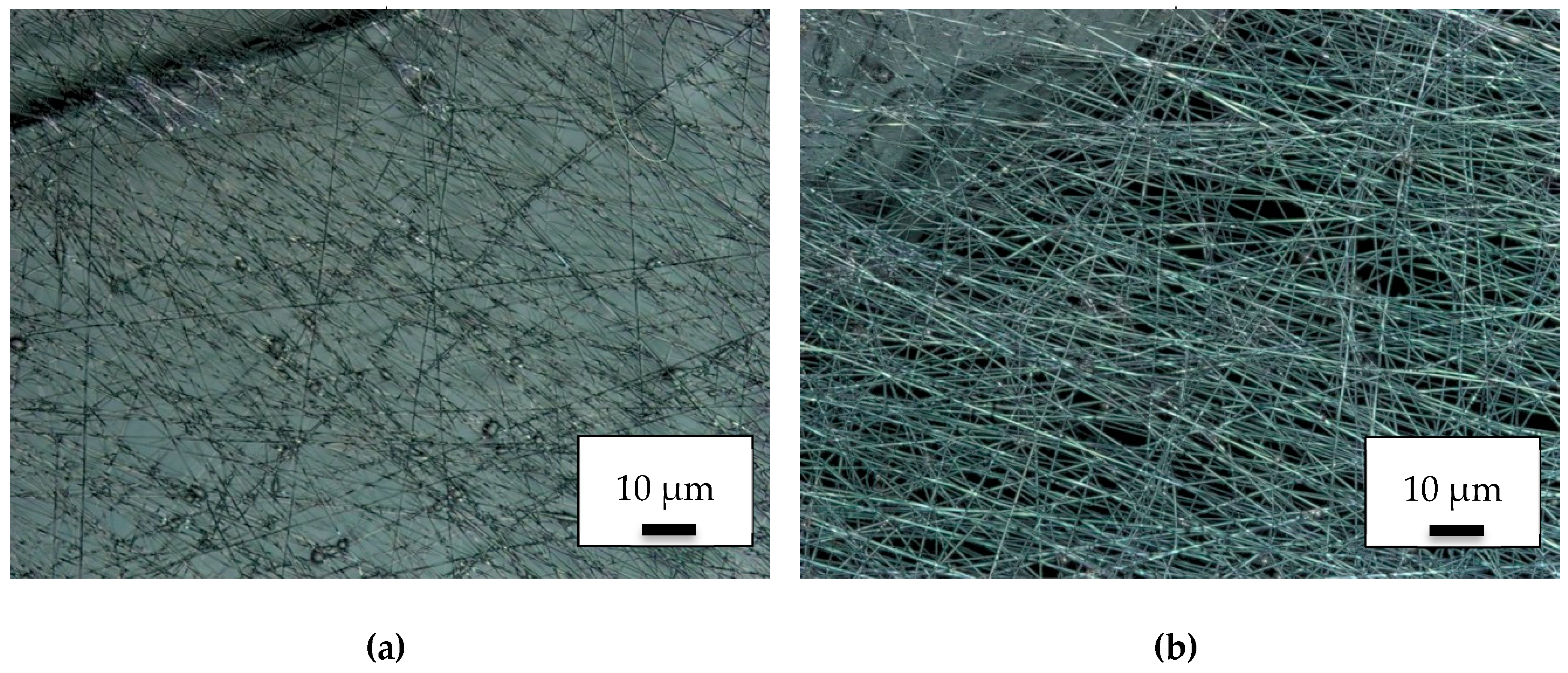 Polymers 11 02034 g004