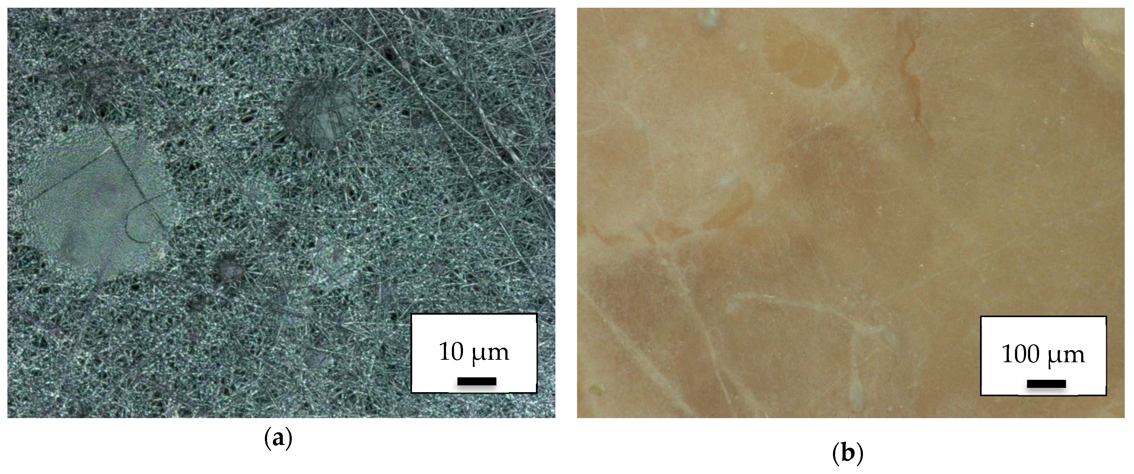 Polymers 11 02034 g005