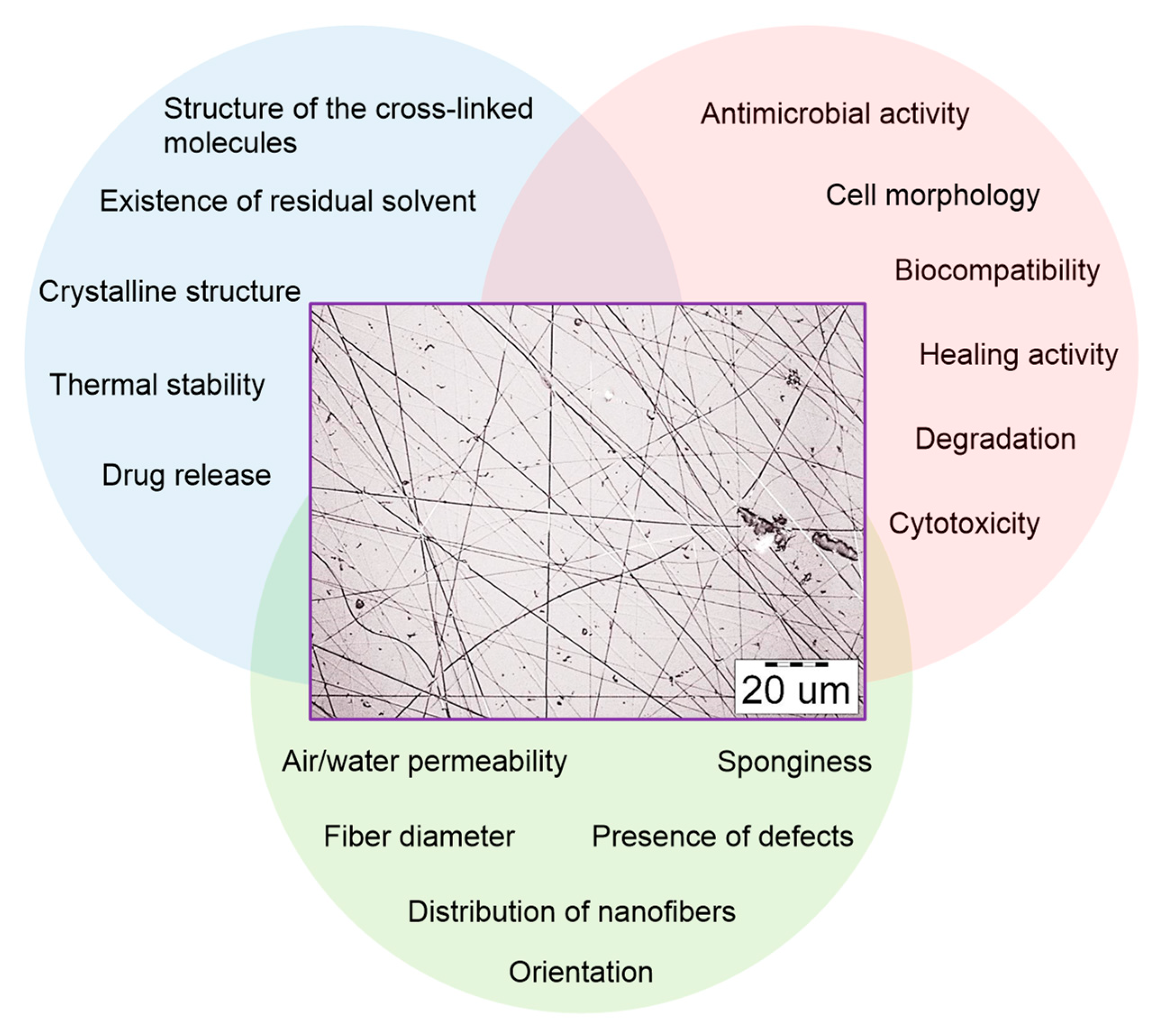 Polymers 11 02036 g005