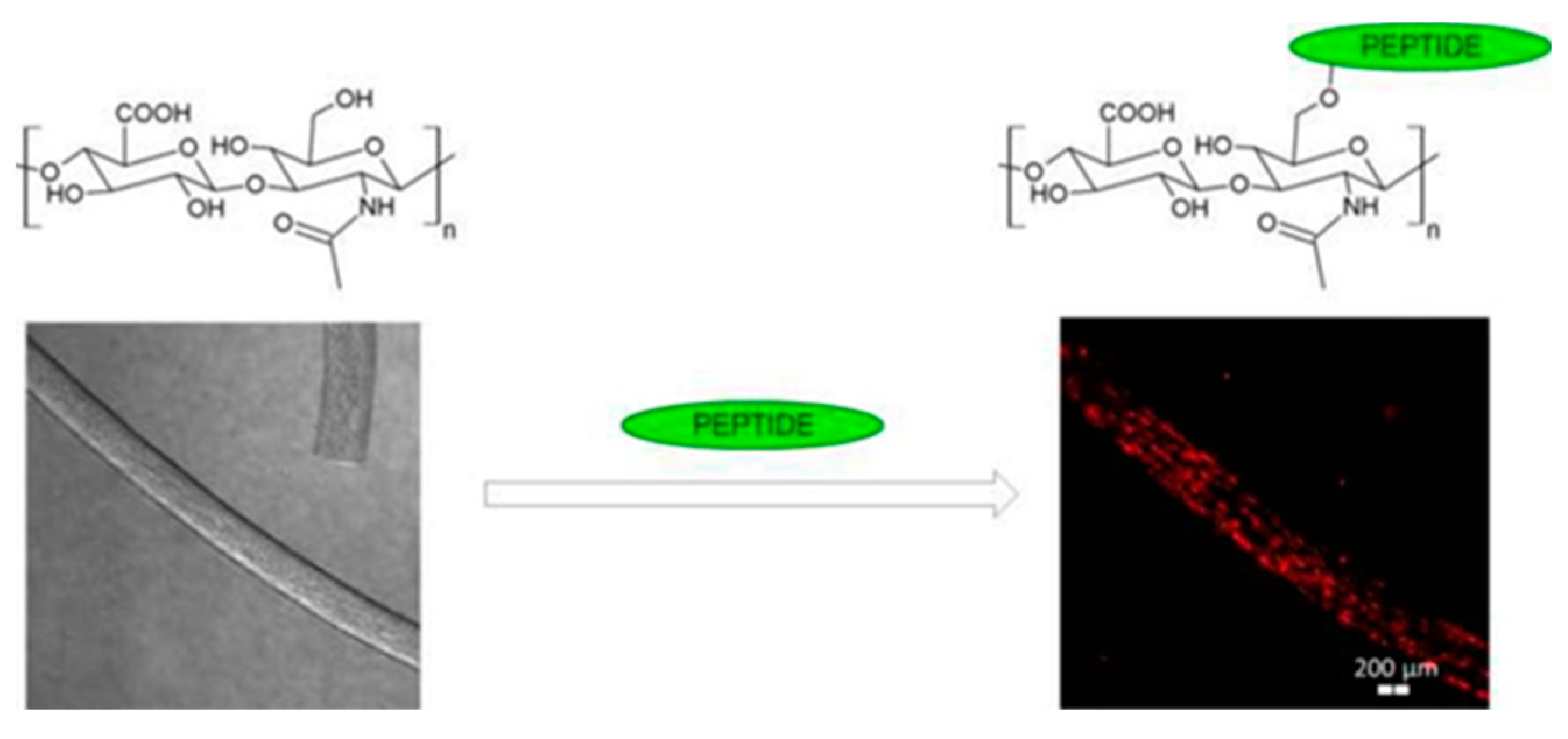 Polymers 11 02036 g007