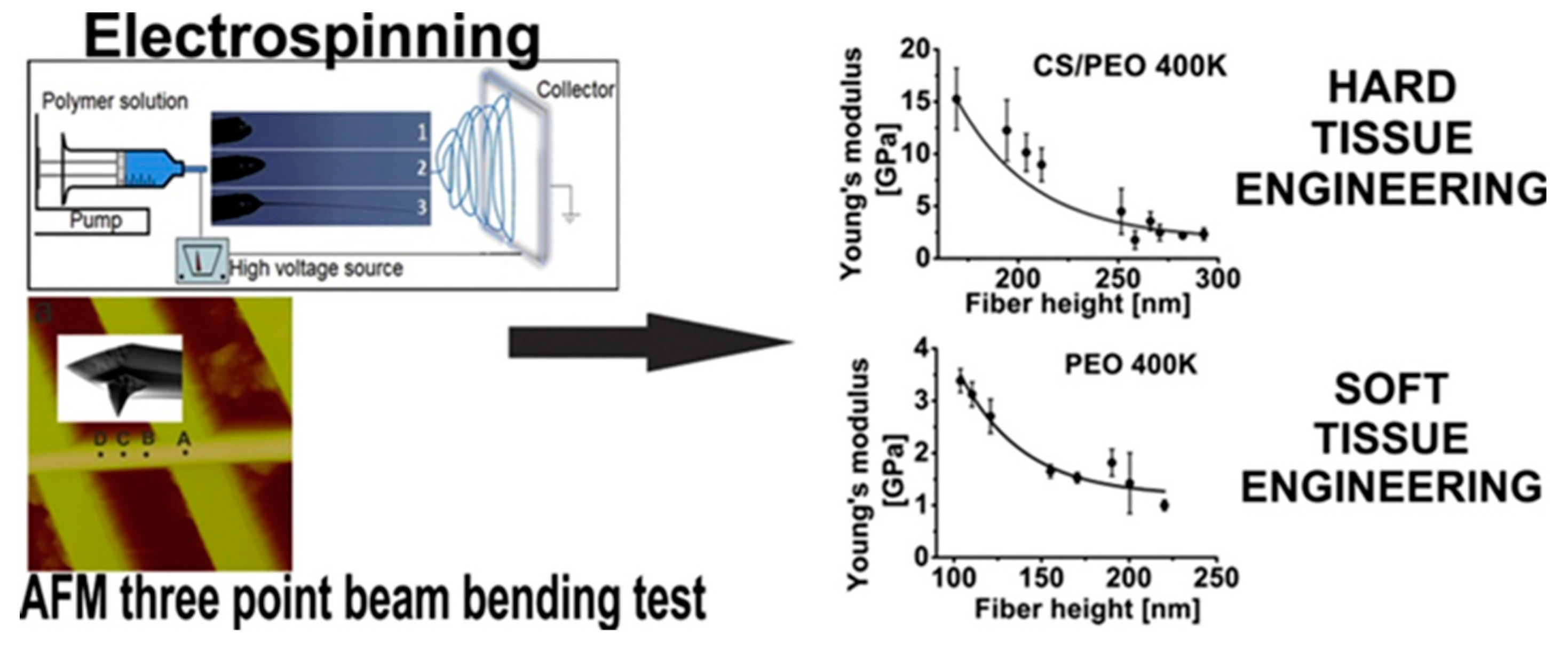 Polymers 11 02036 g008